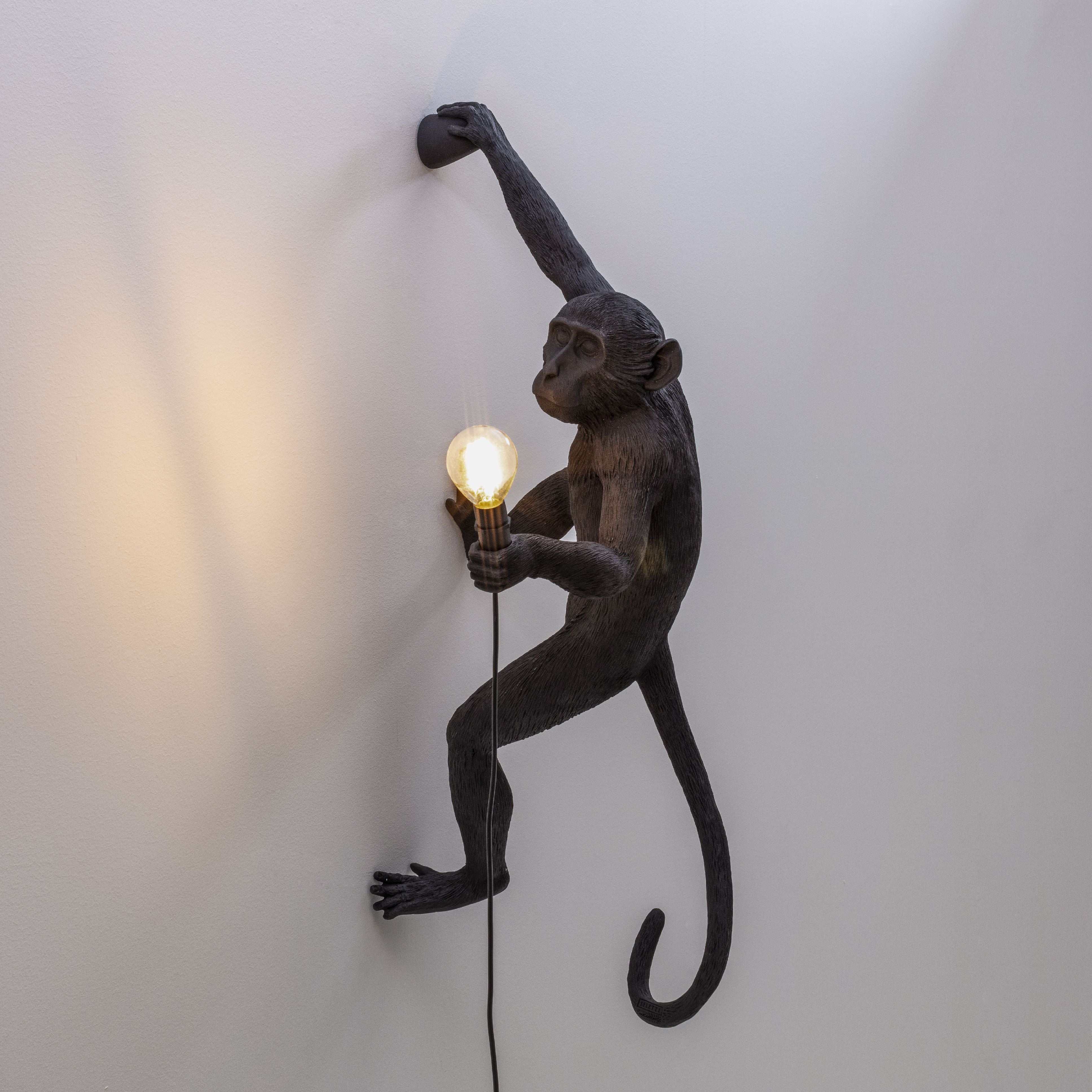 Seletti Monkey Outdoor Lamp Black, Hanging Right Hand