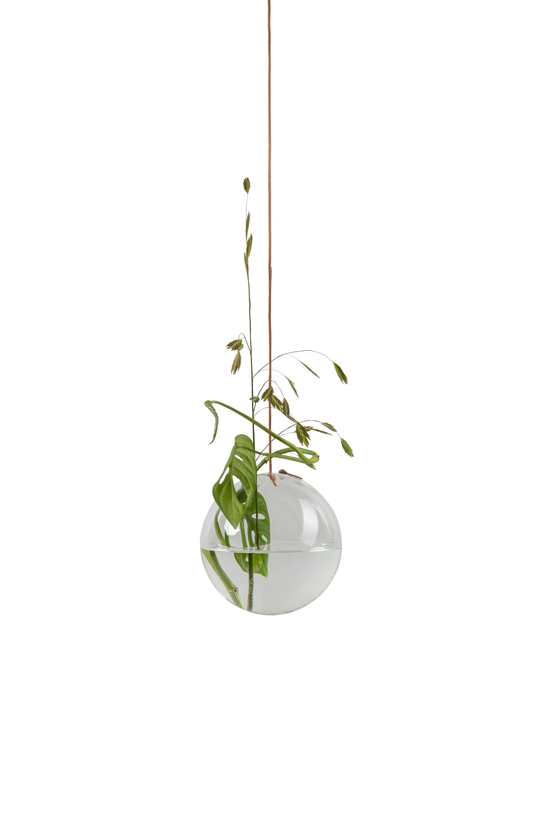 Studio sur la suspension du vase à bulles de fleurs, transparente