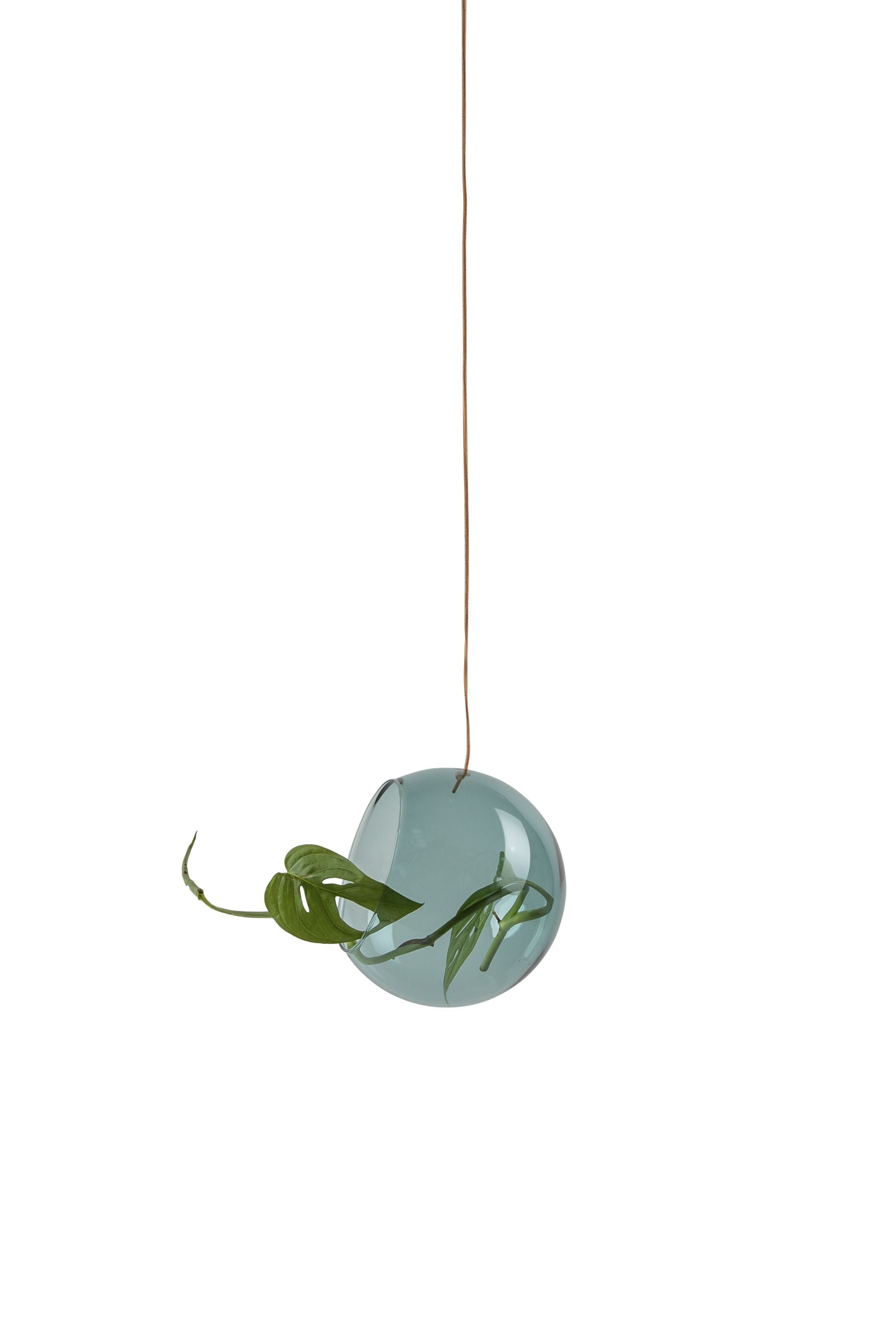 Studio About Hanging Plant Bubble Vase Medium, Cyan