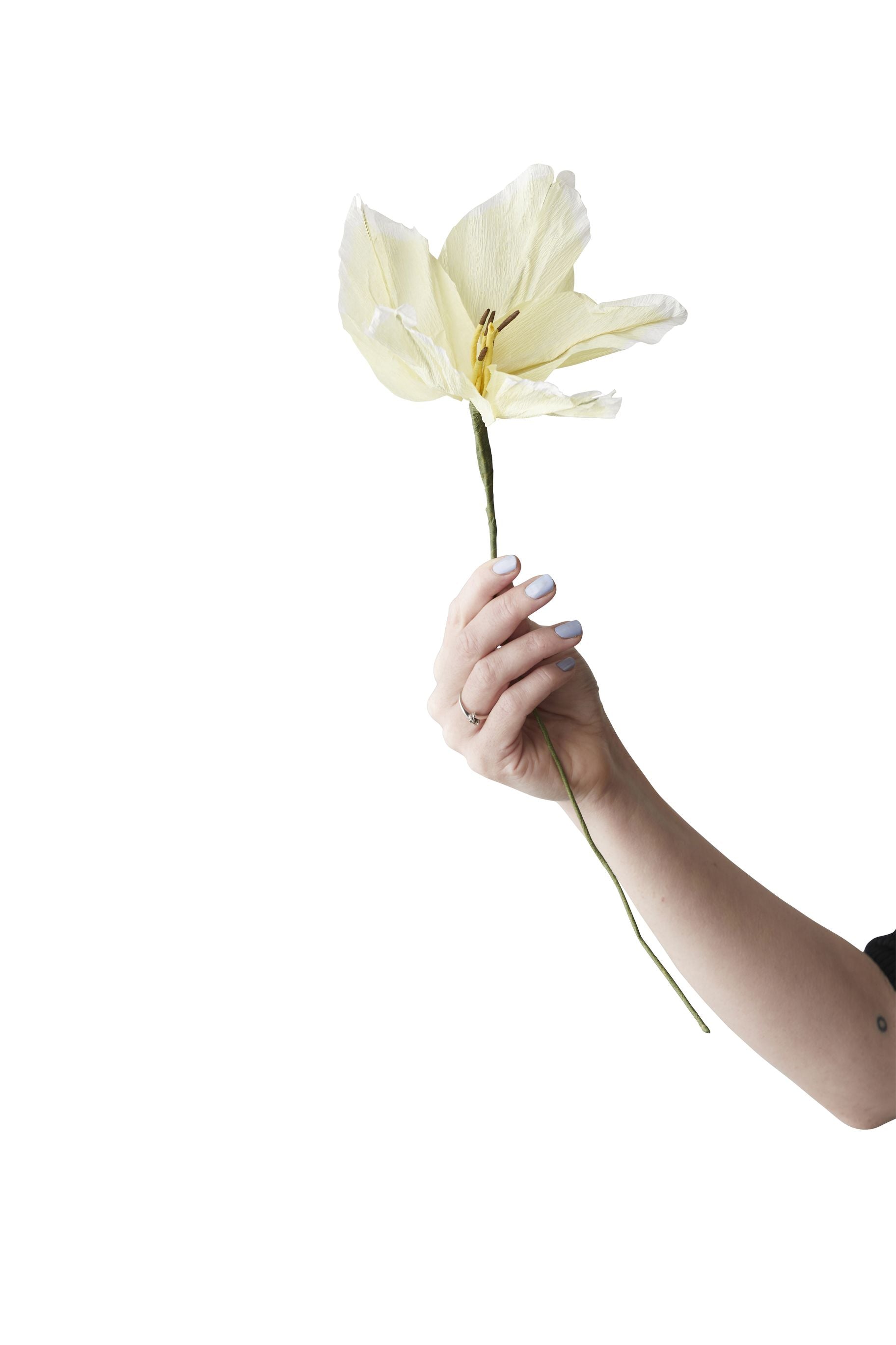 Studio About Paper Flower Lily, Yellow