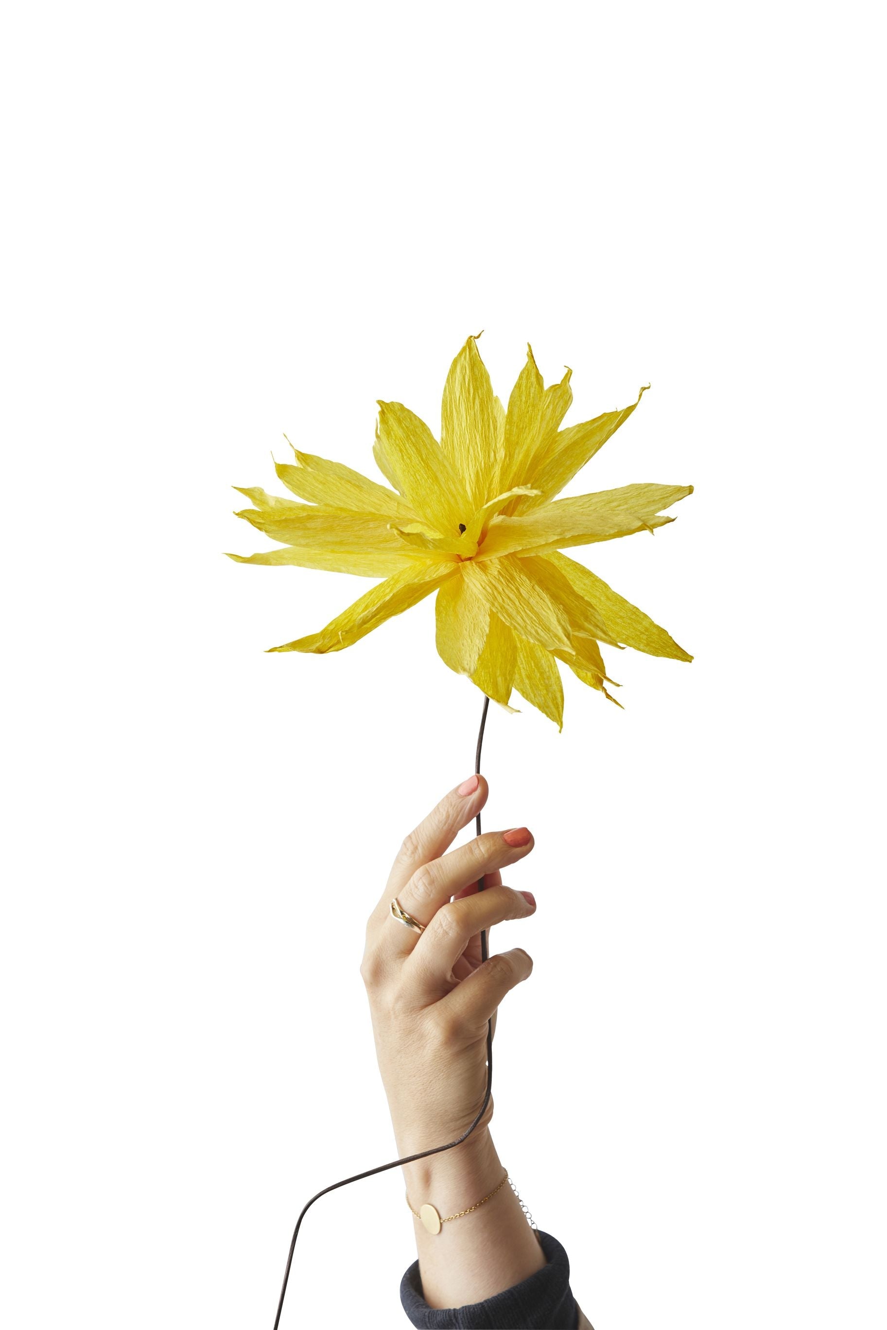 Studio About Paper Flower Shooting Star, Yellow