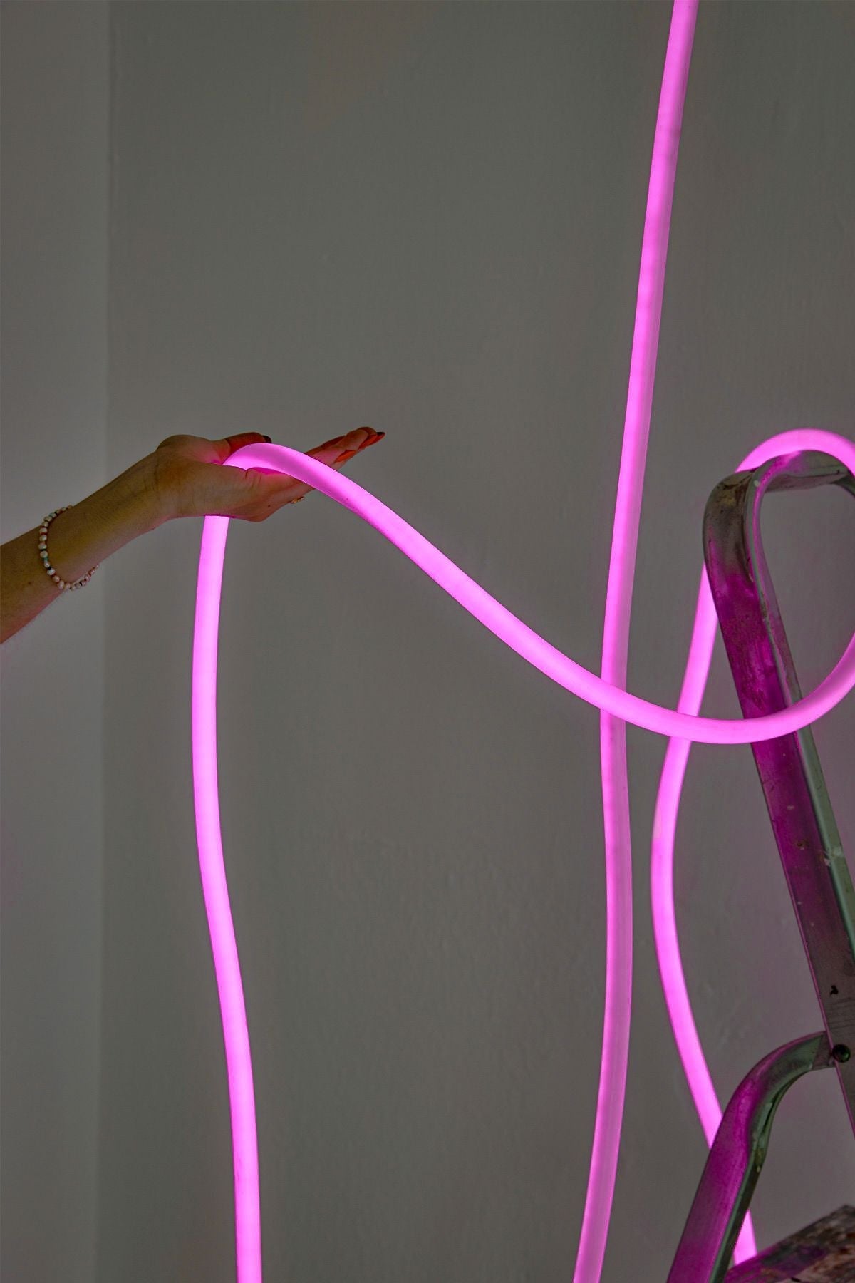 关于弯曲管灯的工作室5 m，明亮的粉红色