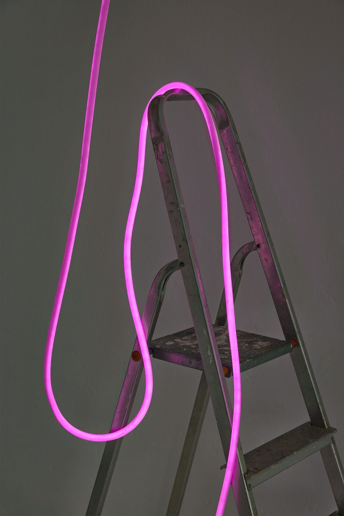 关于弯曲管灯的工作室5 m，明亮的粉红色