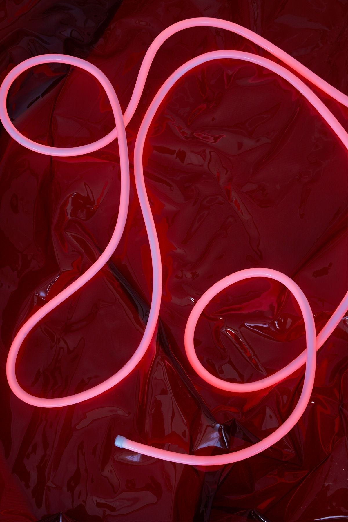 Studio sur la lampe à tube flexible 5 m, rouge chaud
