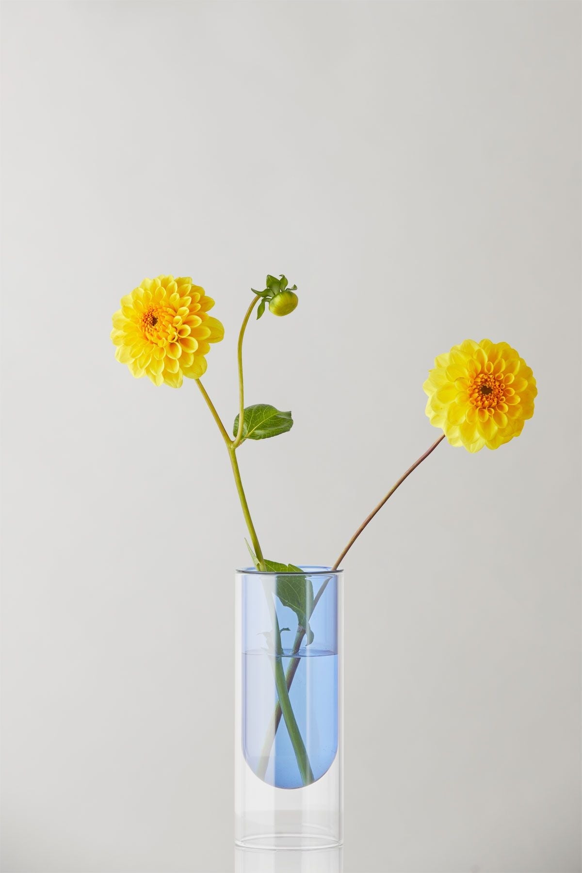 Estudio sobre el jarrón de tubos de flores de 16 cm, azul