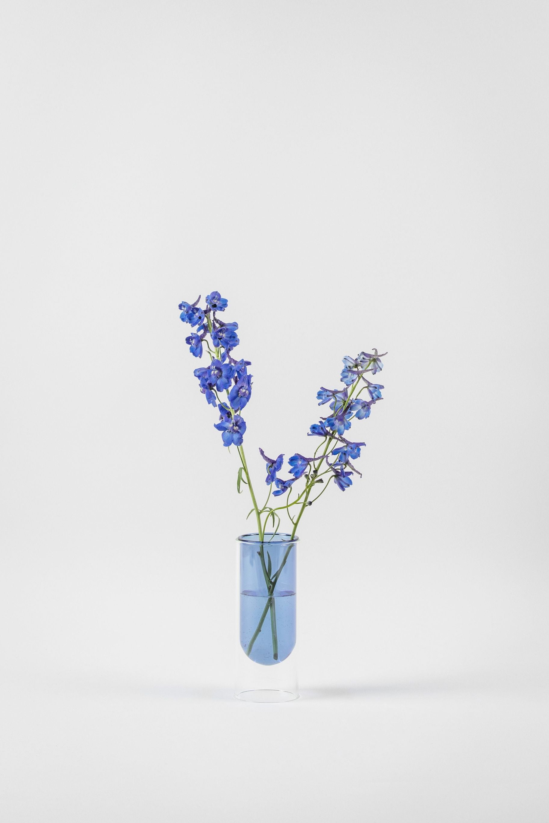 Studio om blommor rörvas 16 cm, blå