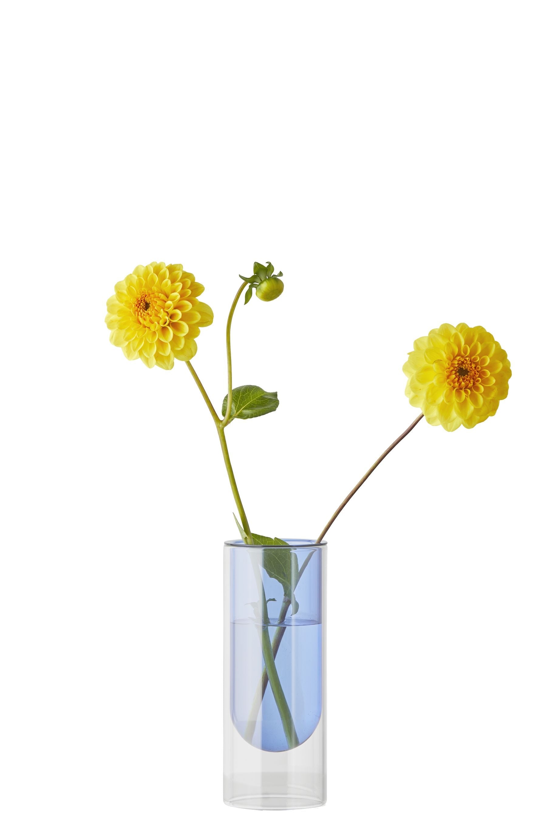 Studio sul vaso del tubo di fiori 16 cm, blu