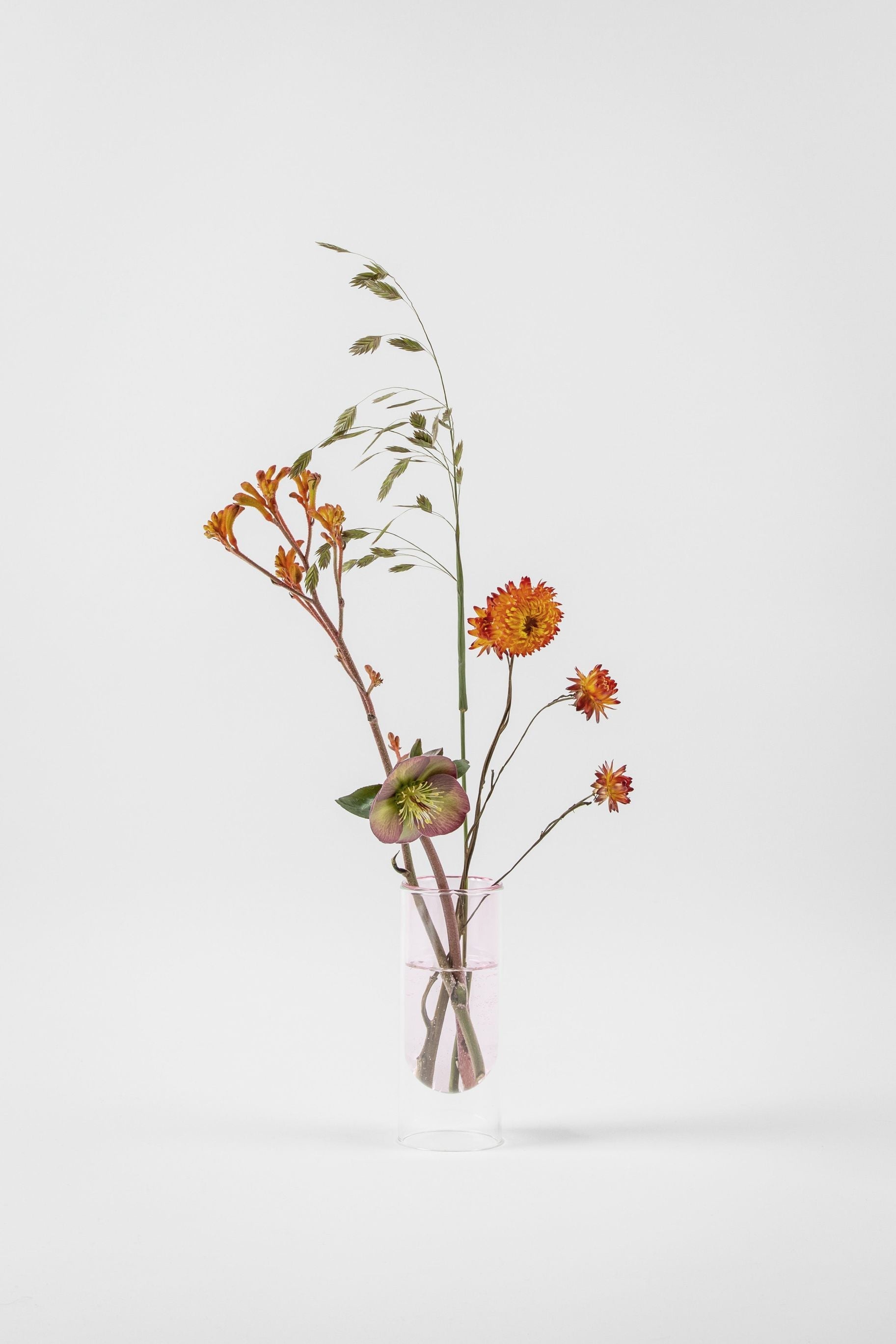 Studio om blommor rörvas 16 cm, ros