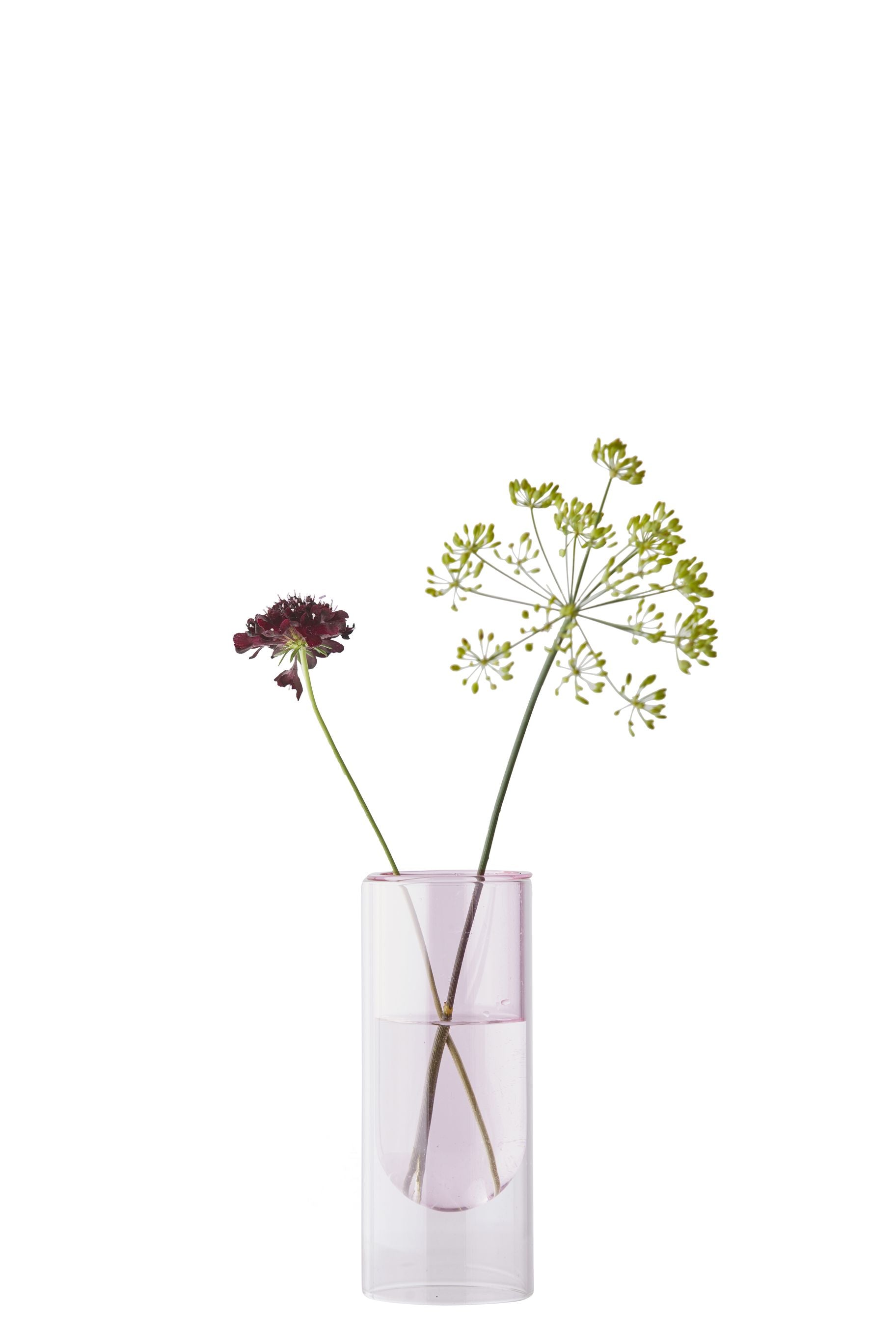 Studio sul vaso del tubo di fiori 16 cm, rosa