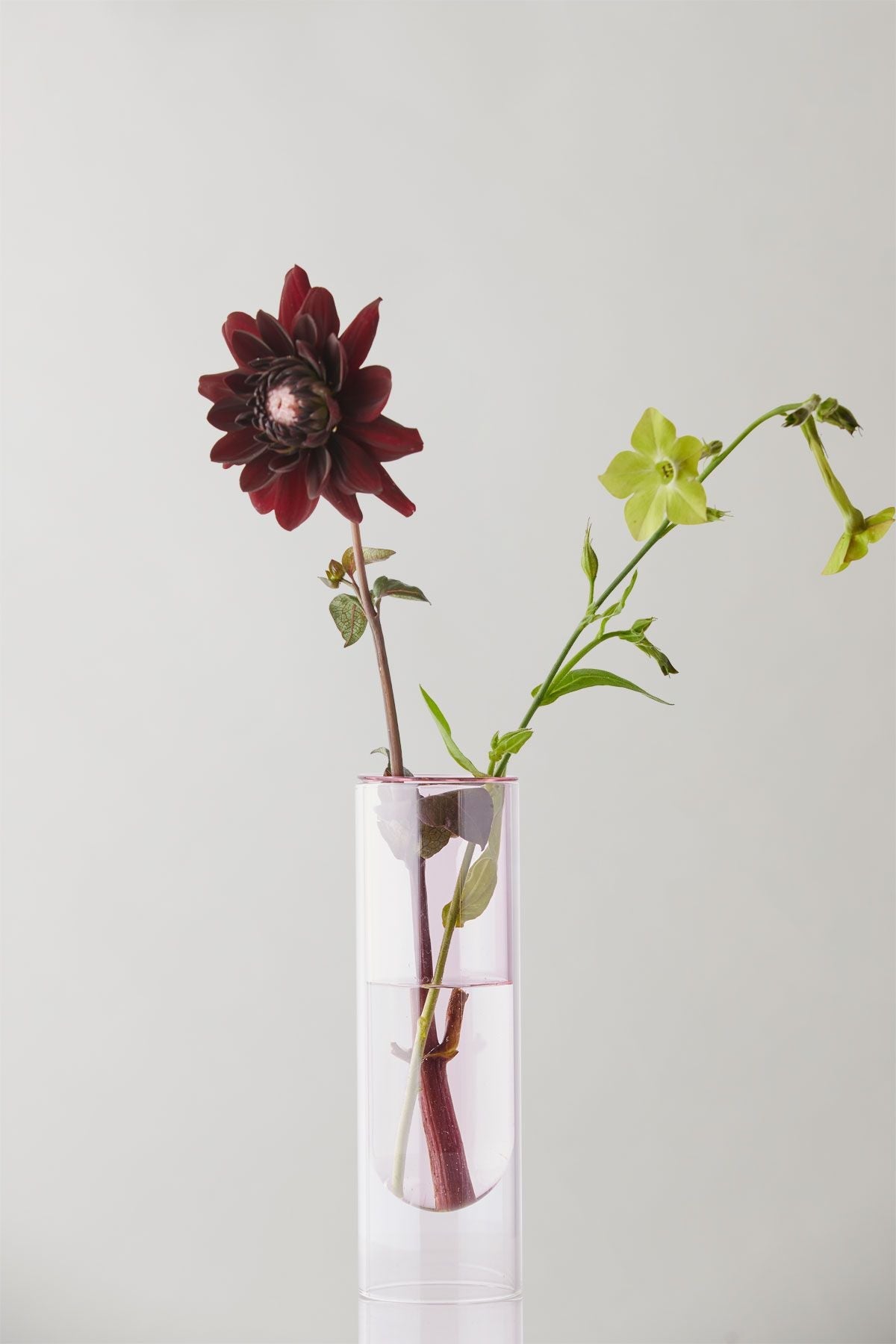 Studio About Flower Tube Vase 20 Cm, Rose