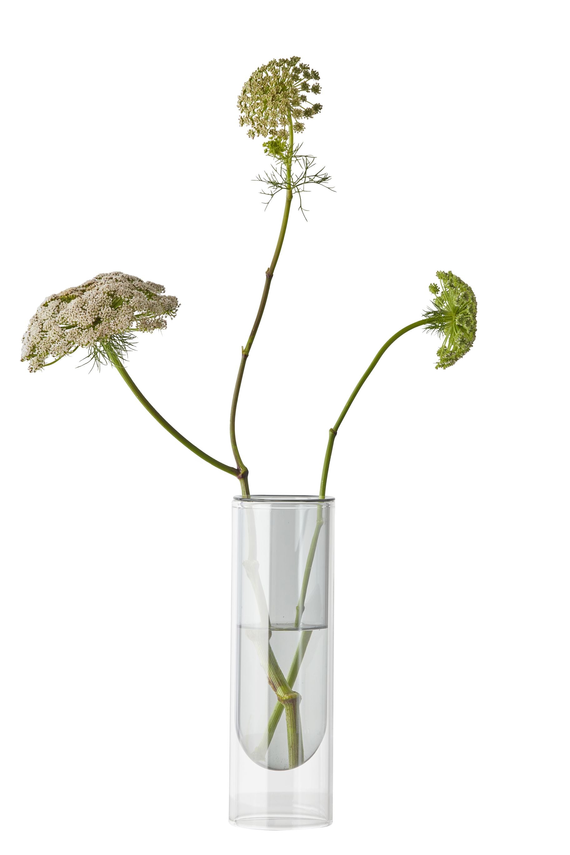 Studio sul vaso del tubo di fiori 20 cm, fumo