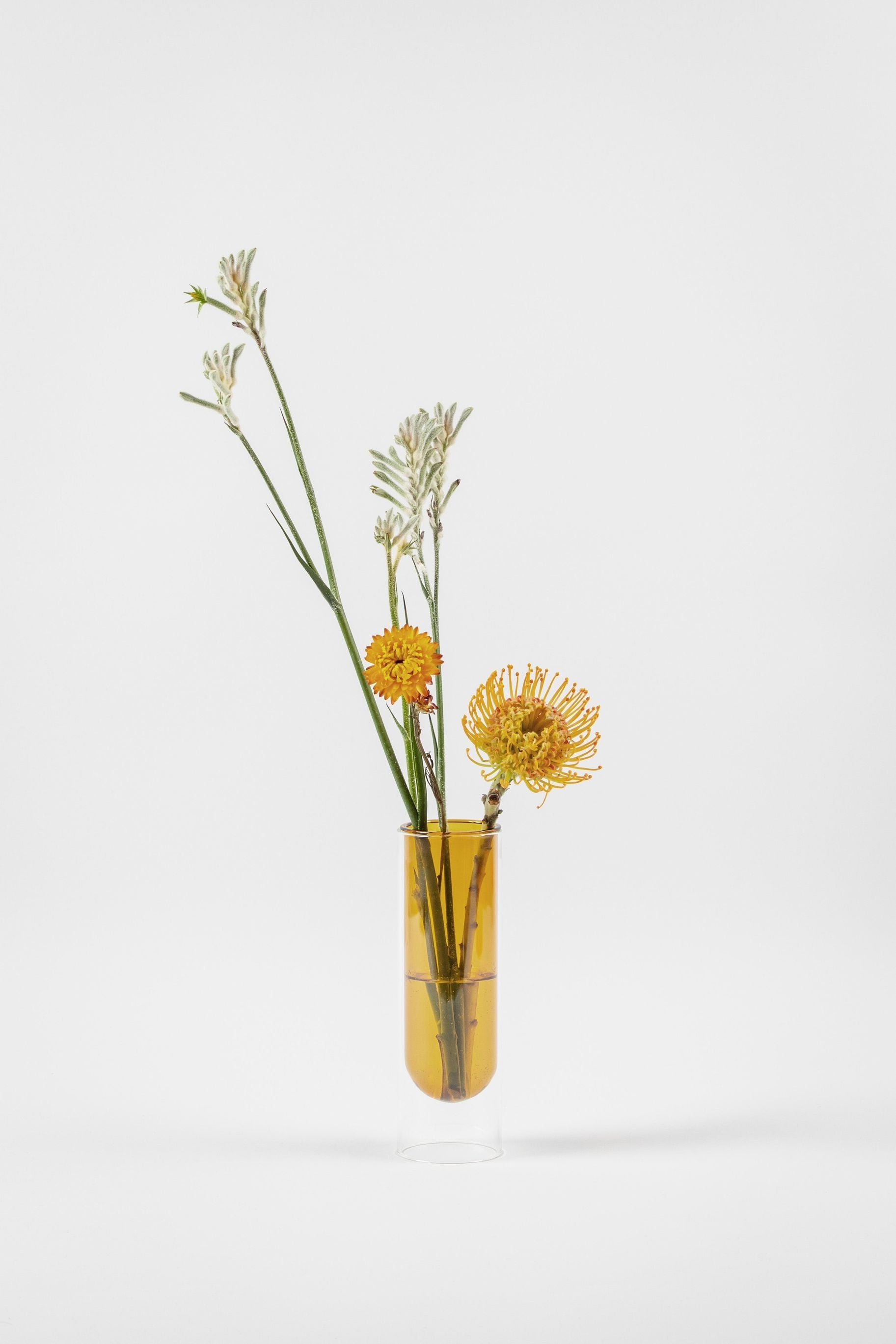 Estudio sobre el jarrón de tubos de flores de 20 cm, amarillo