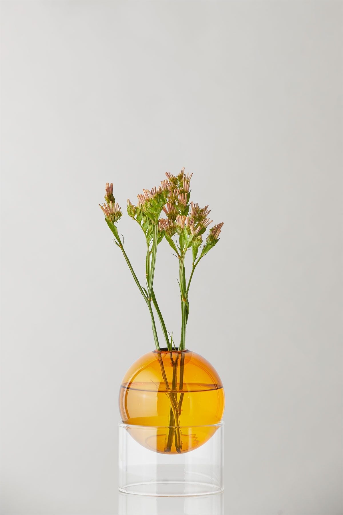 Studio sur le vase à bulles de fleur debout 10 cm, ambre