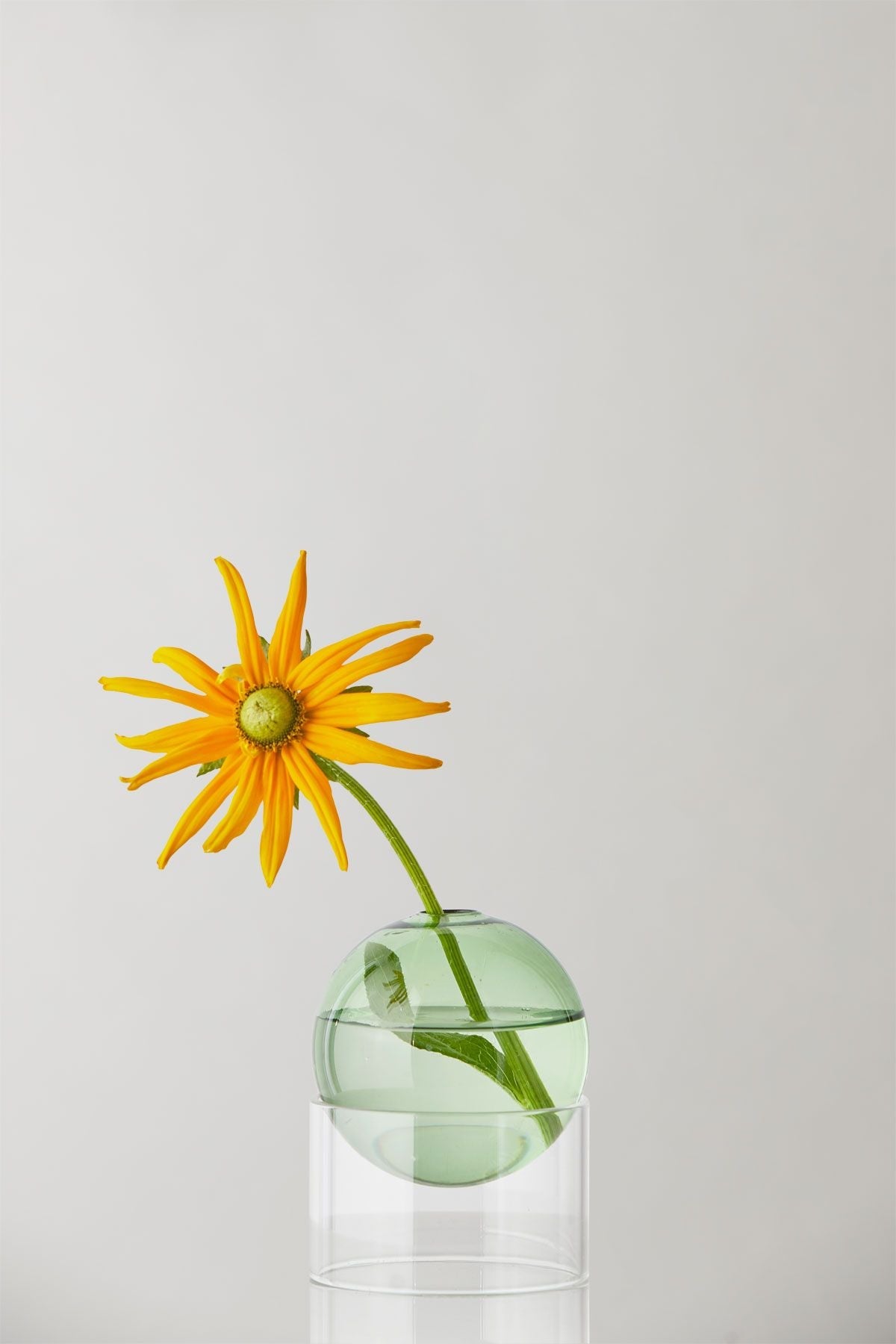 Estudio sobre el jarrón de burbujas de flores de pie de 10 cm, verde