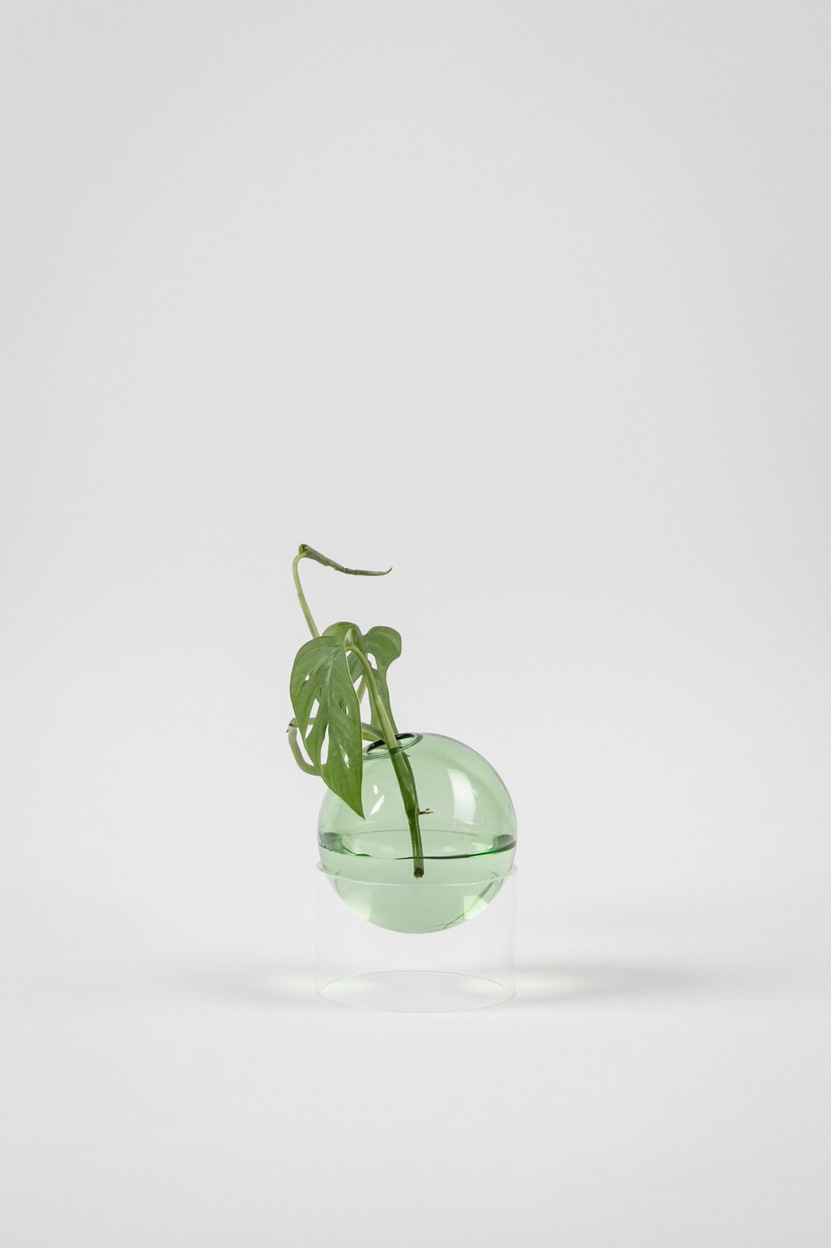 关于站立的花气泡花瓶10厘米，绿色的工作室