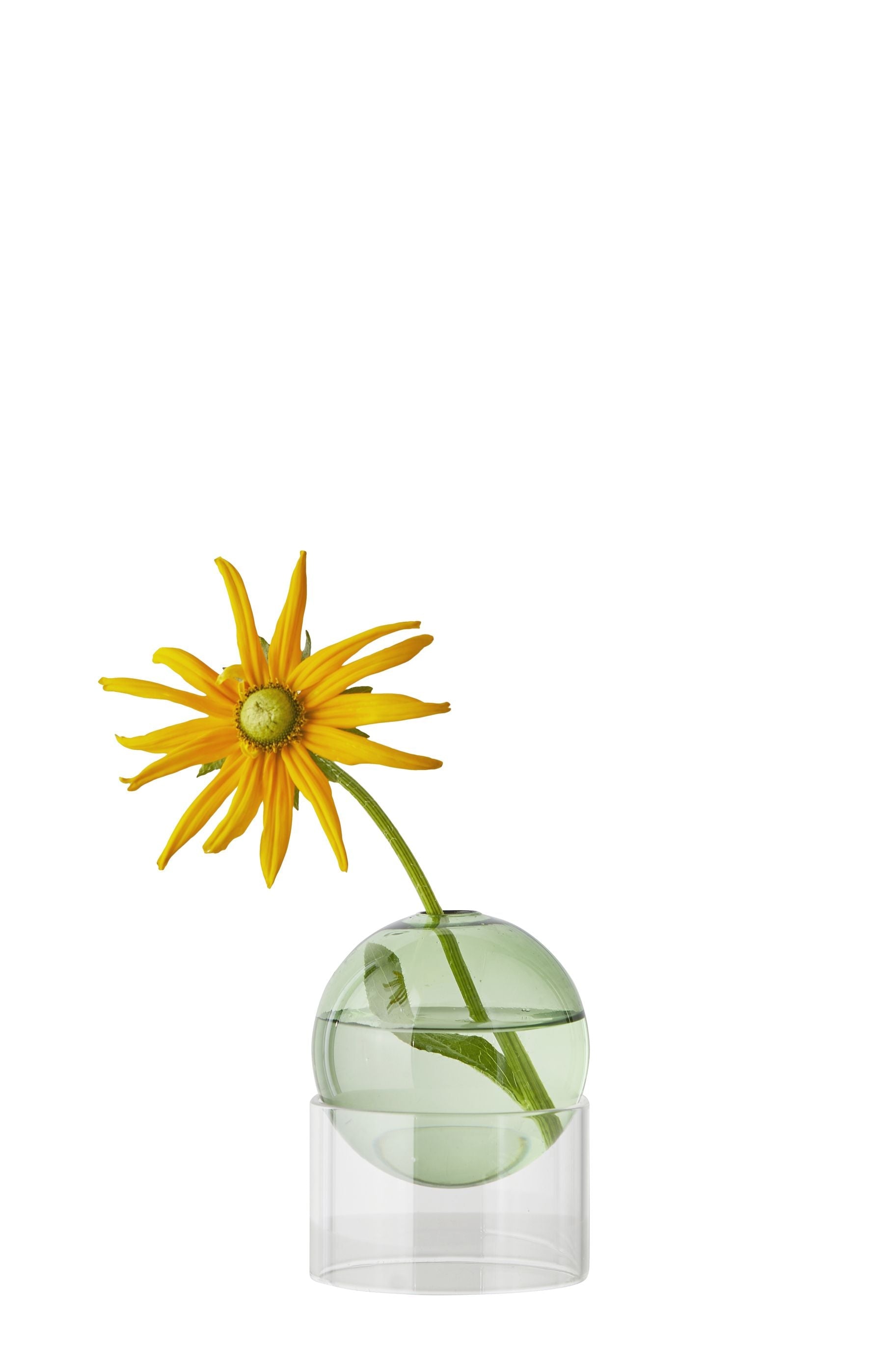 Studio om stående blomsterboblevase 10 cm, grøn