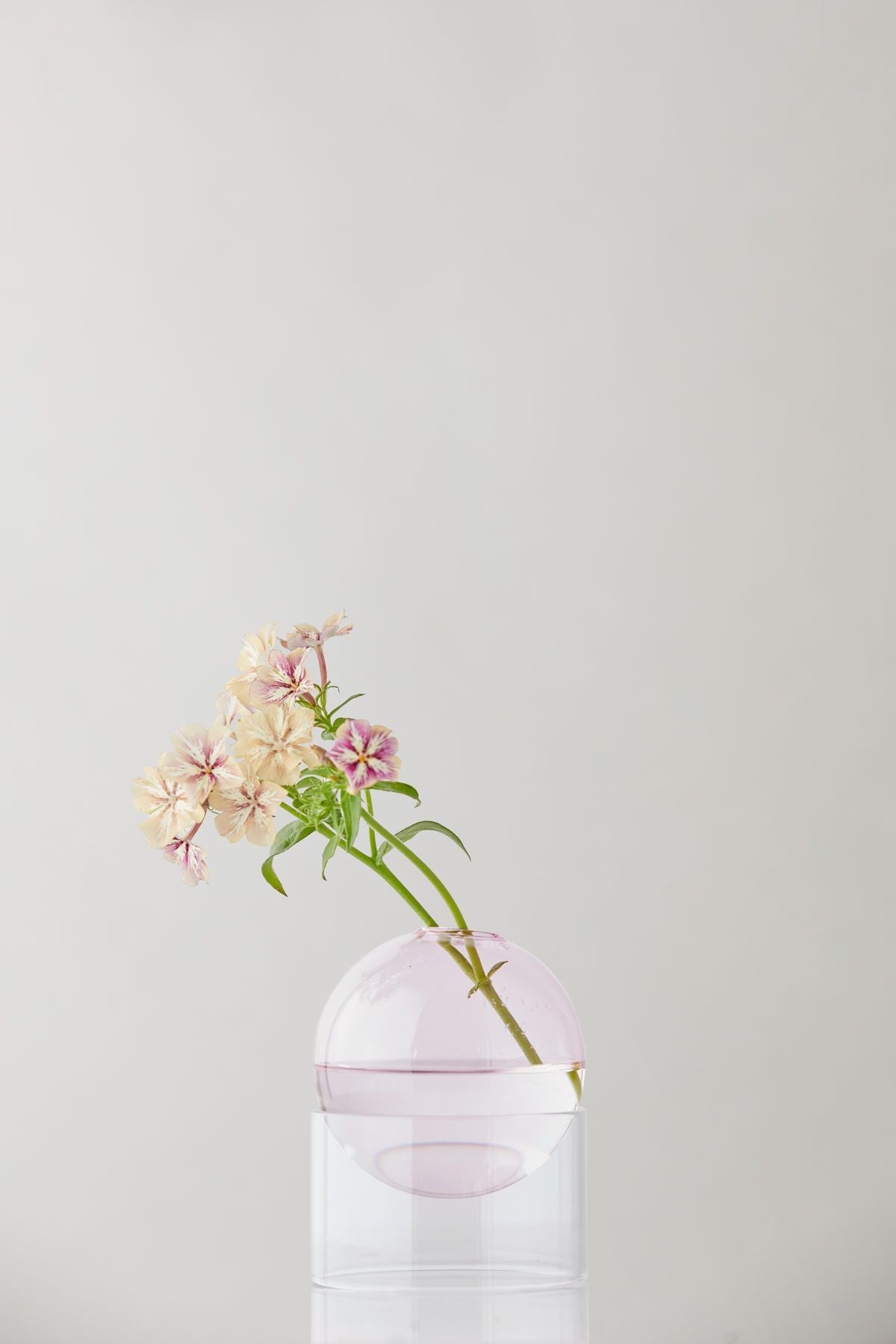 Studio sur le vase à bulles de fleur debout 10 cm, rose