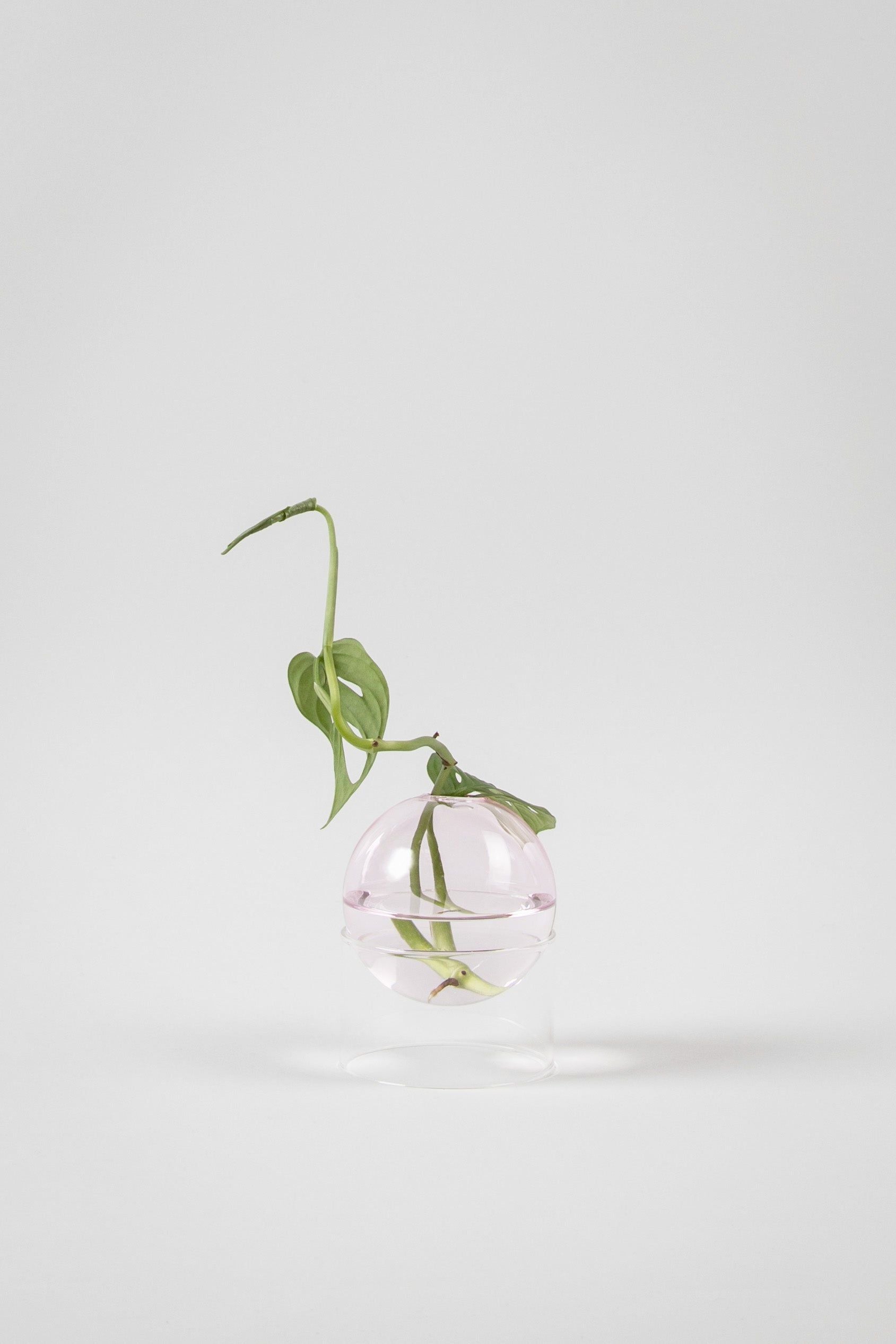 Studio om stående blomsterboblevase 10 cm, rose
