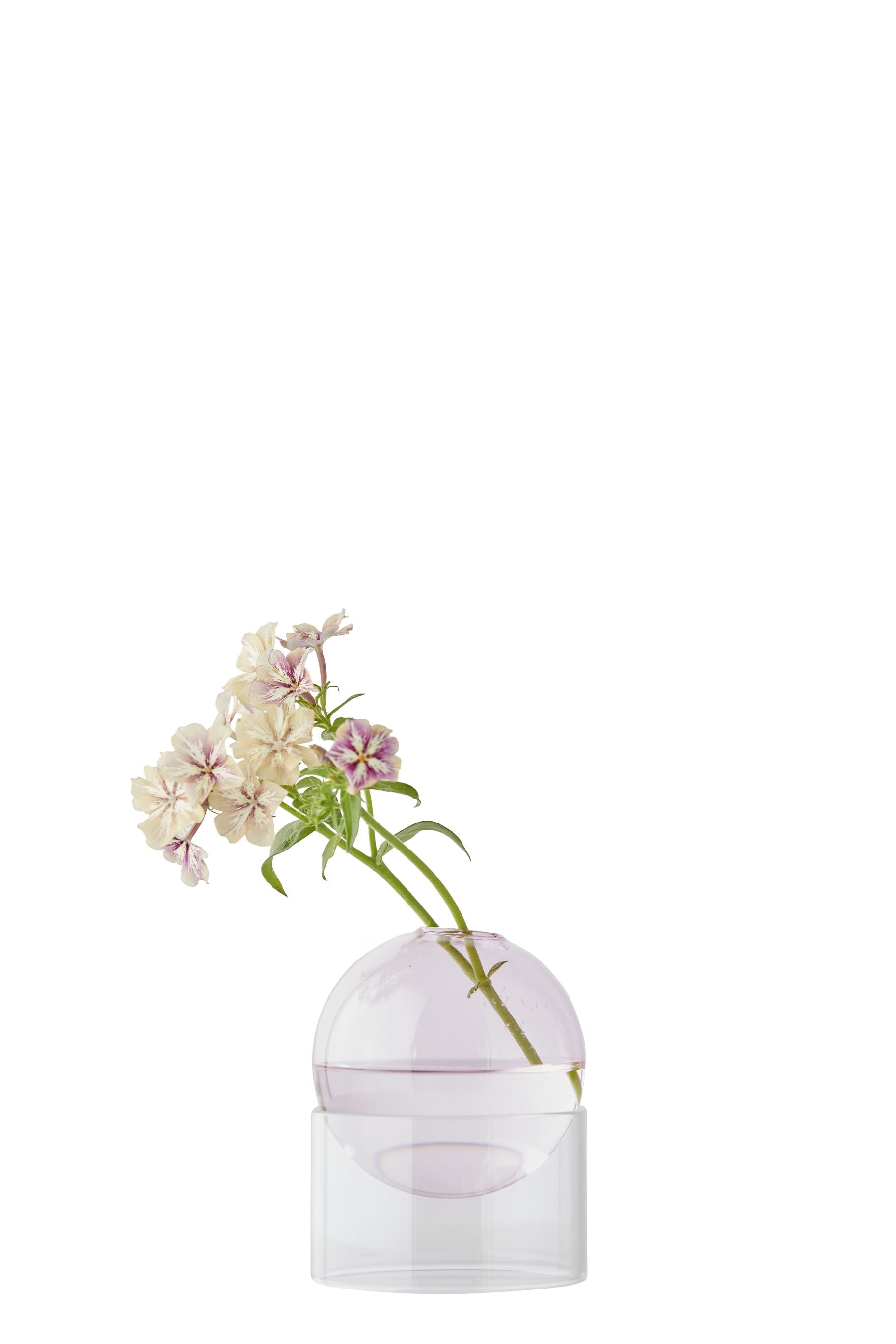 Studio sur le vase à bulles de fleur debout 10 cm, rose