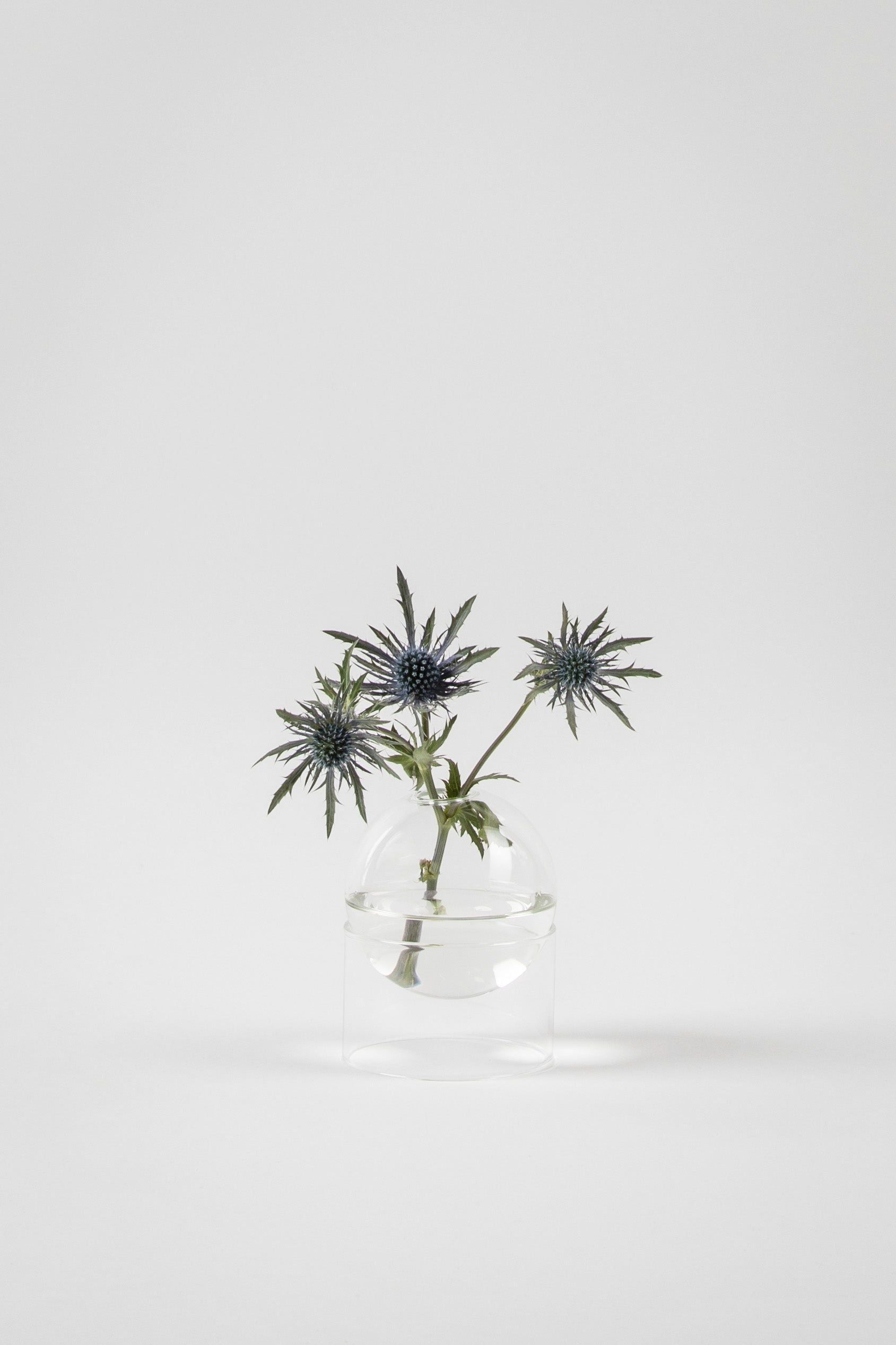 Studio über stehende Blumenblasen Vase 10 cm, transparent