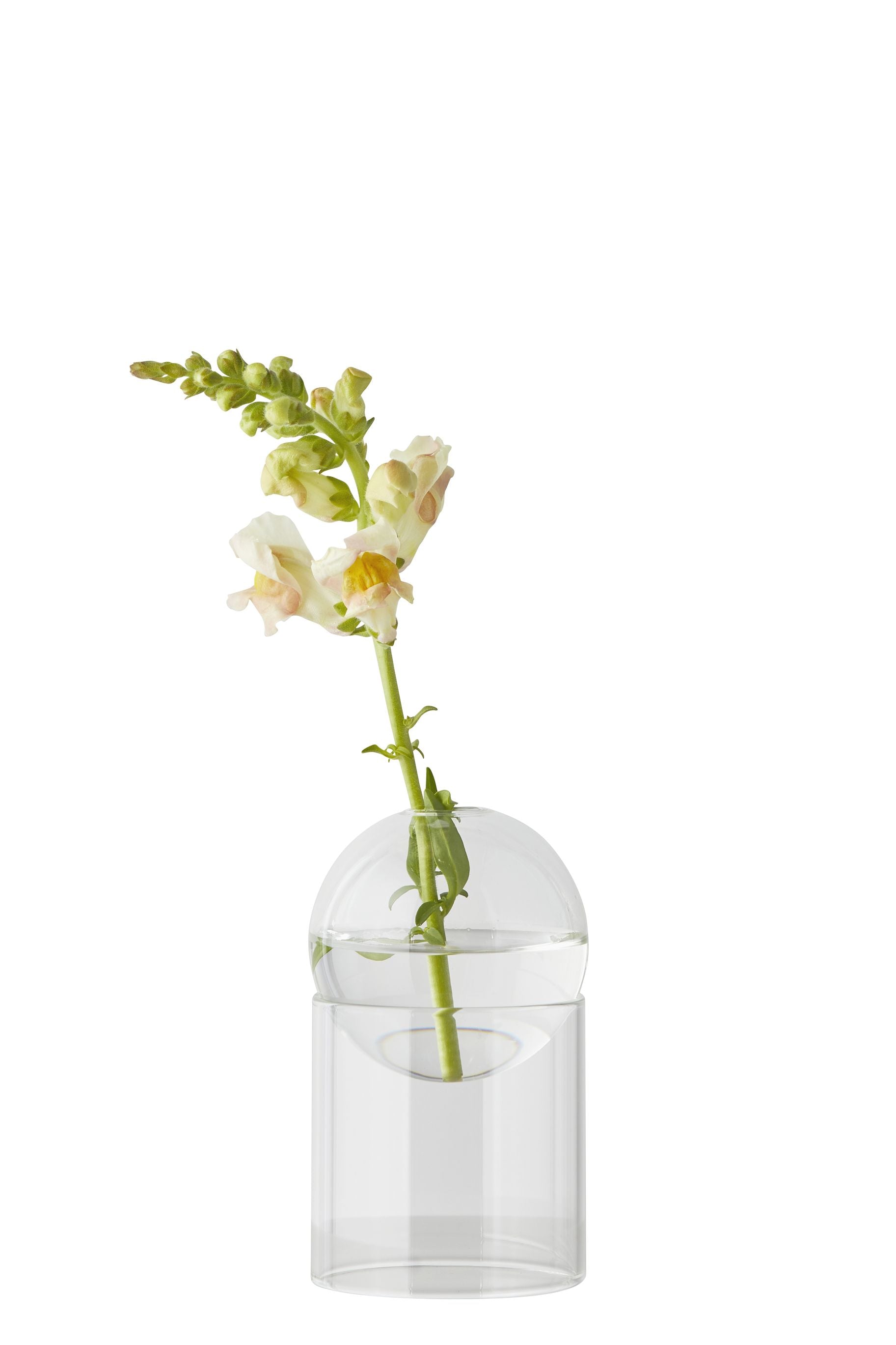 Studio sur le vase de bulles de fleur debout 13 cm, transparent