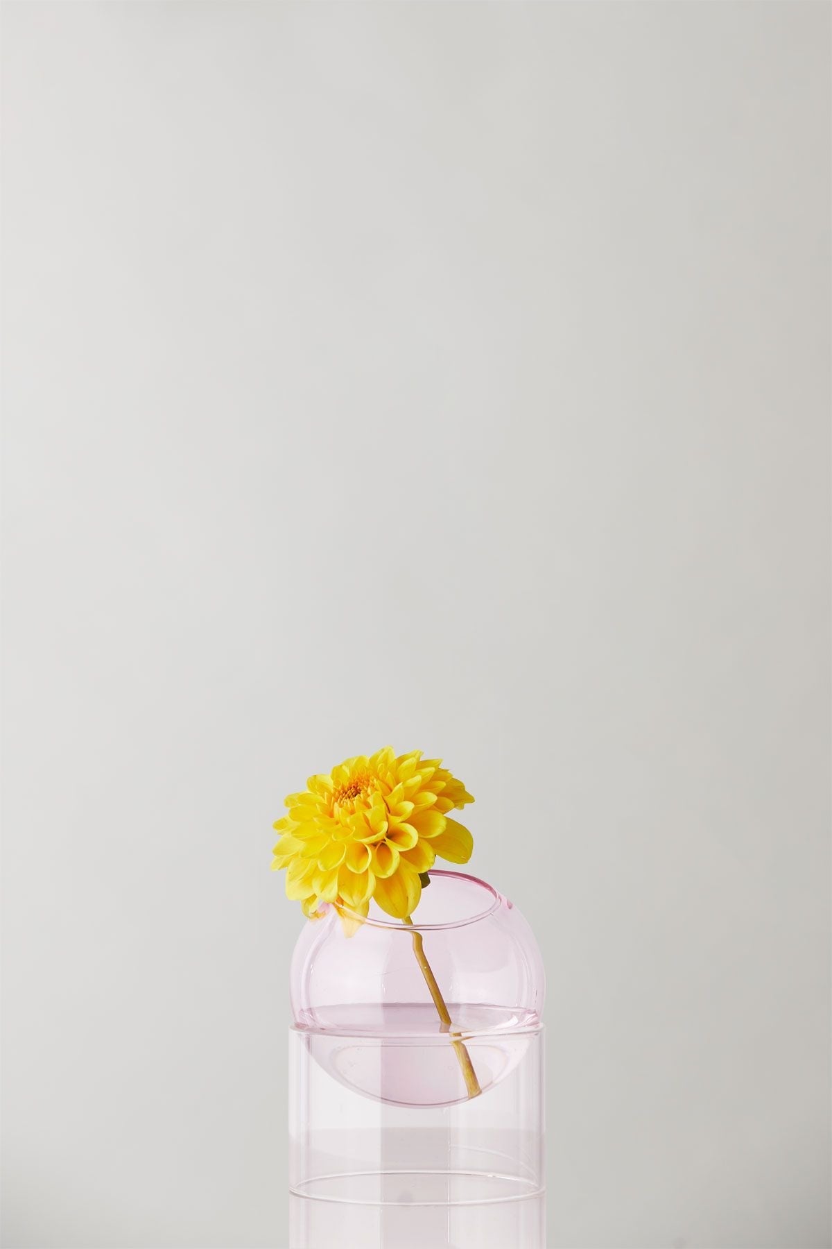 Studio About Standing Plant Bubble Vase, Rose