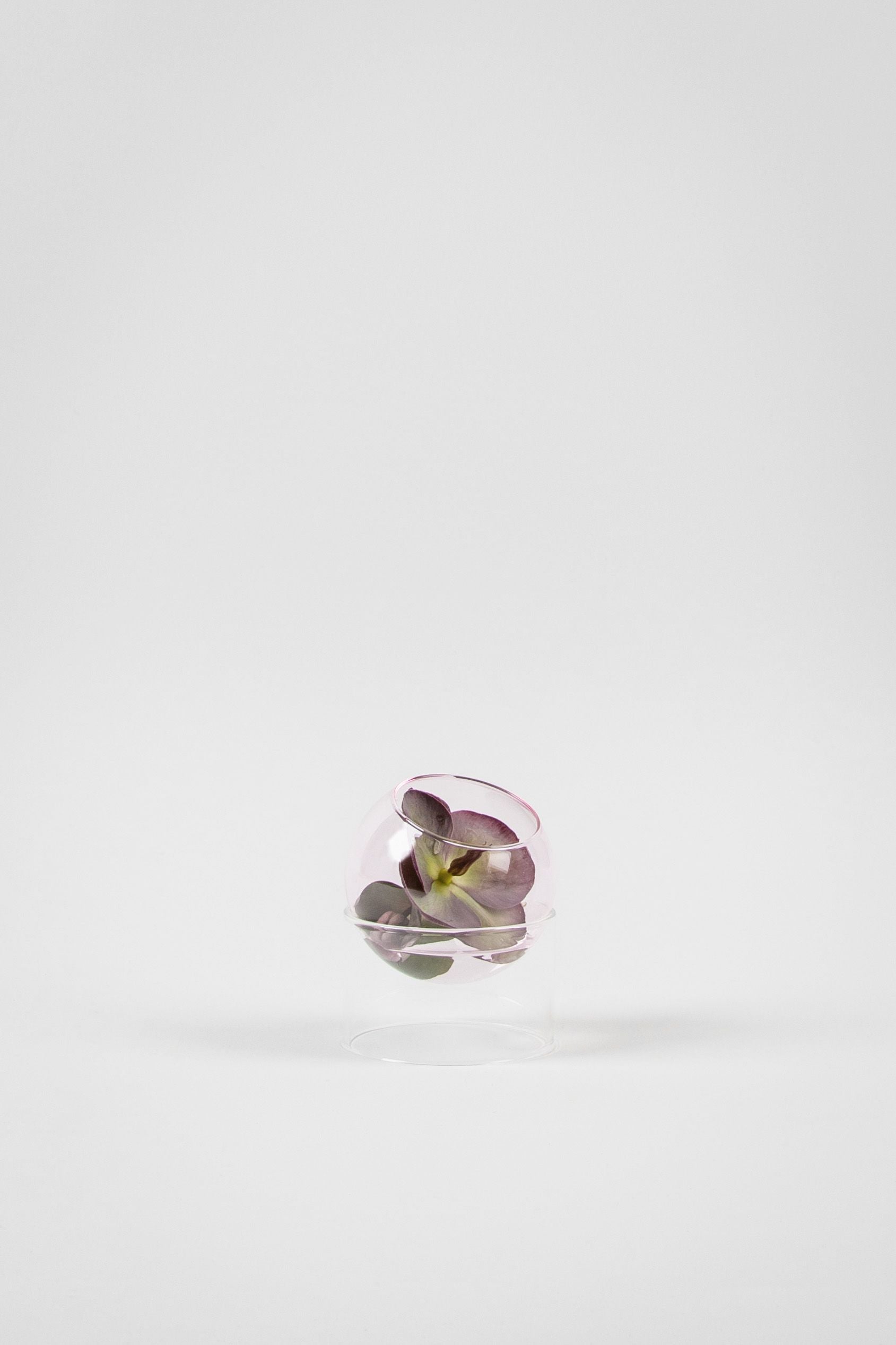 Studio About Standing Plant Bubble Vase, Rose