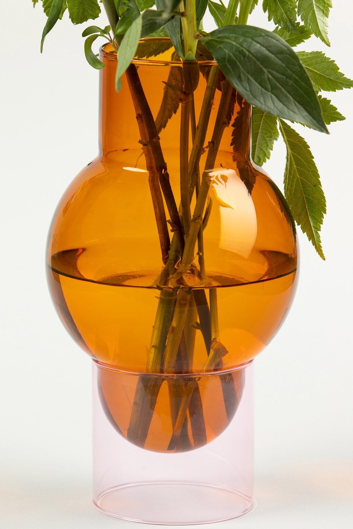 Vase de tube à bulles sur le vase à bulles, ambre