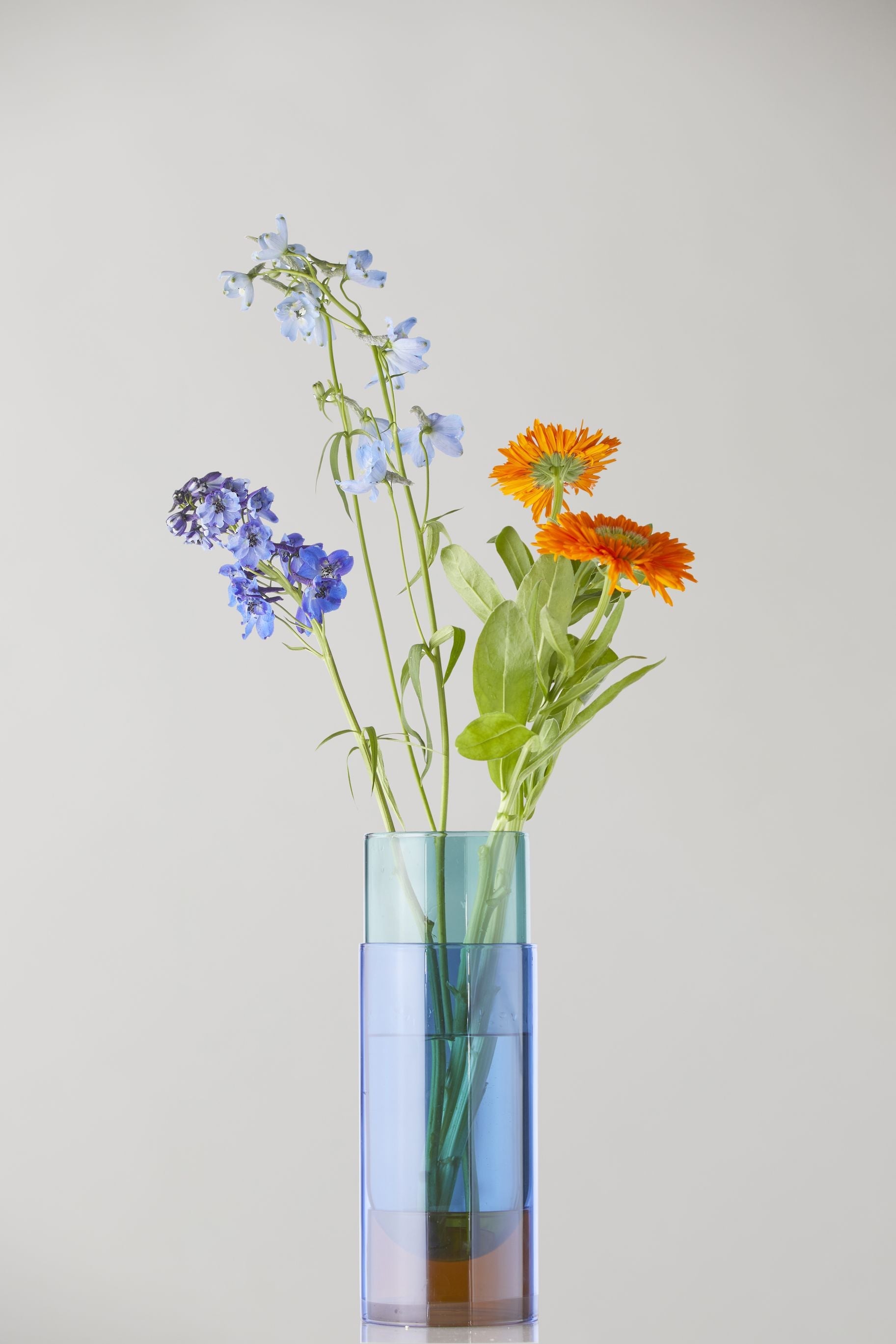 Studio sul vaso del tubo bouquet, blu