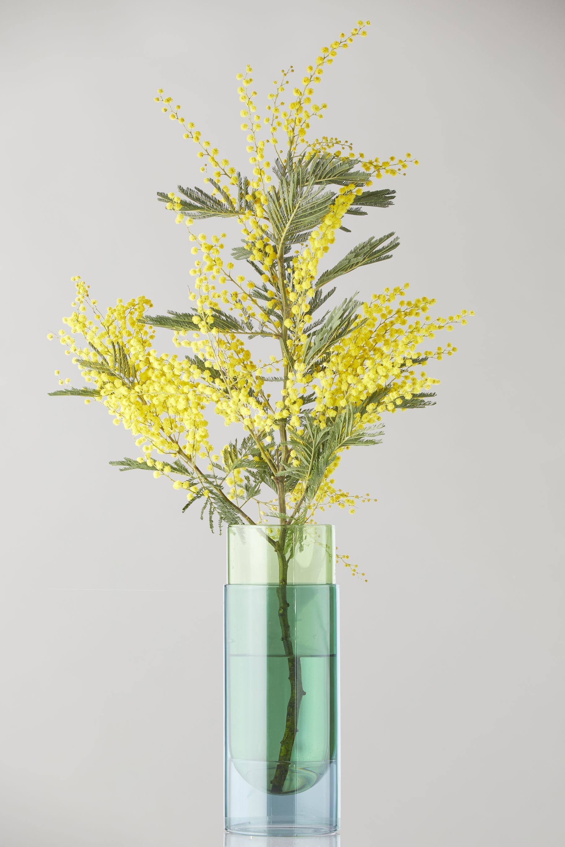 Studio sur le vase à tube de bouquet, vert