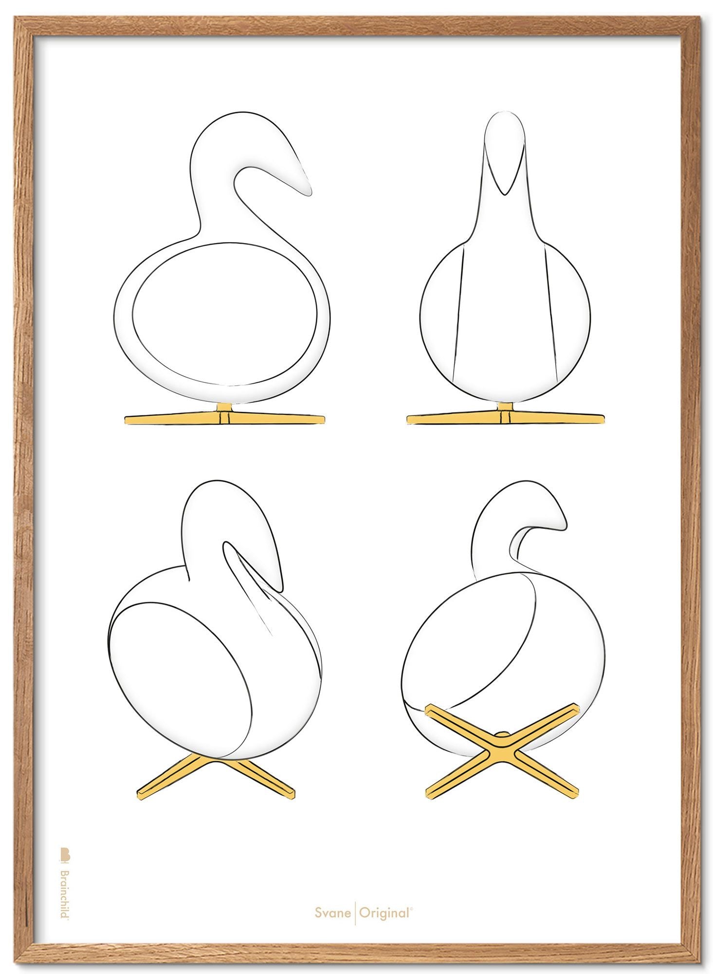 Brainchild Swan Design Sketches Poster Frame Made Of Light Wood 50x70 Cm, White Background