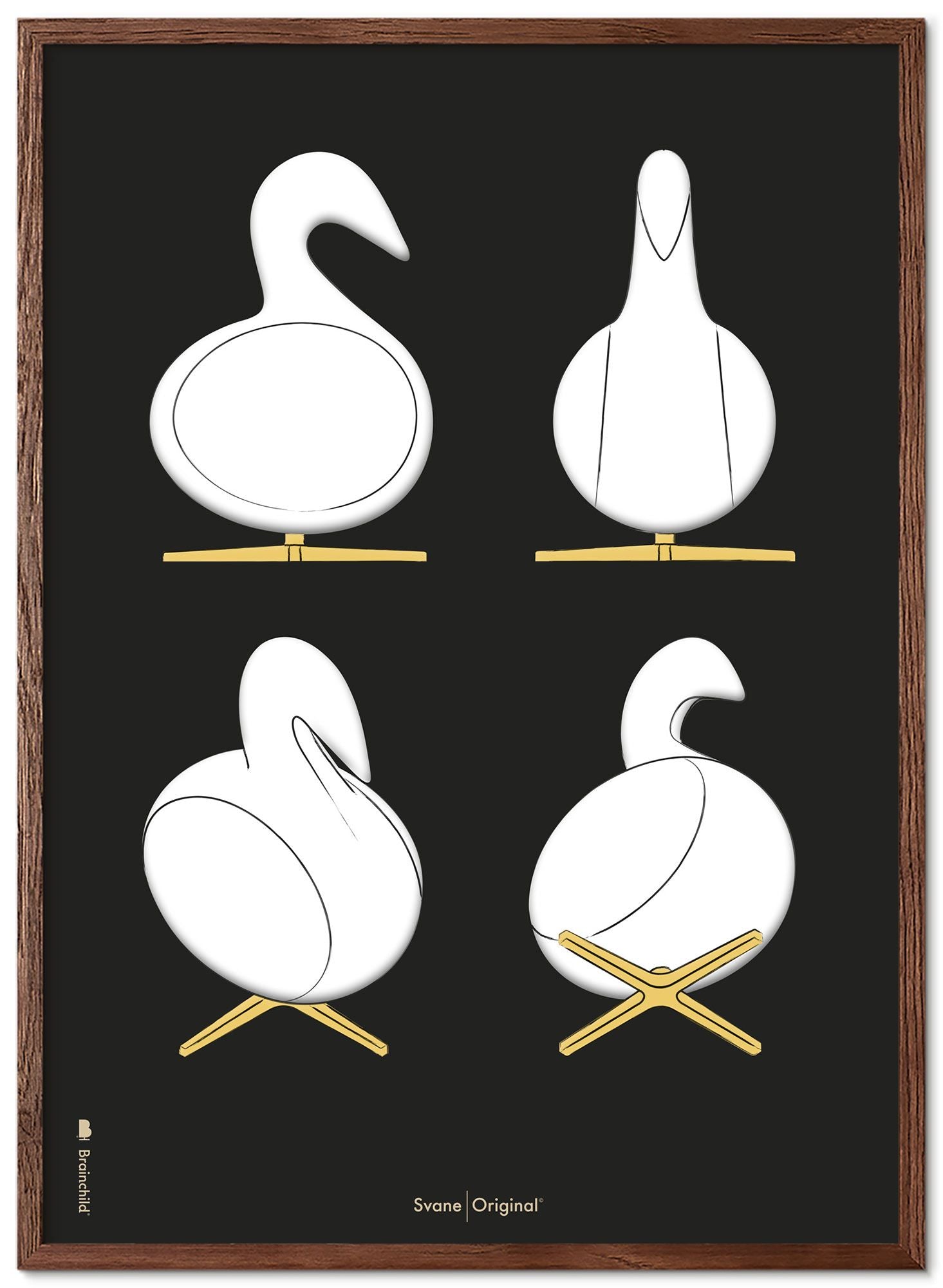 Brainchild Swan Design Sketches Poster Frame Made Of Dark Wood 70x100 Cm, Black Background