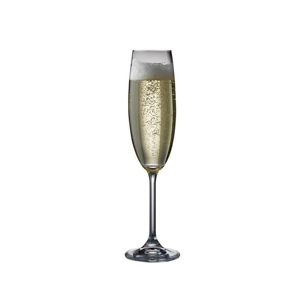 Bitz Champagne Glasses, Clear, 2 Pcs.