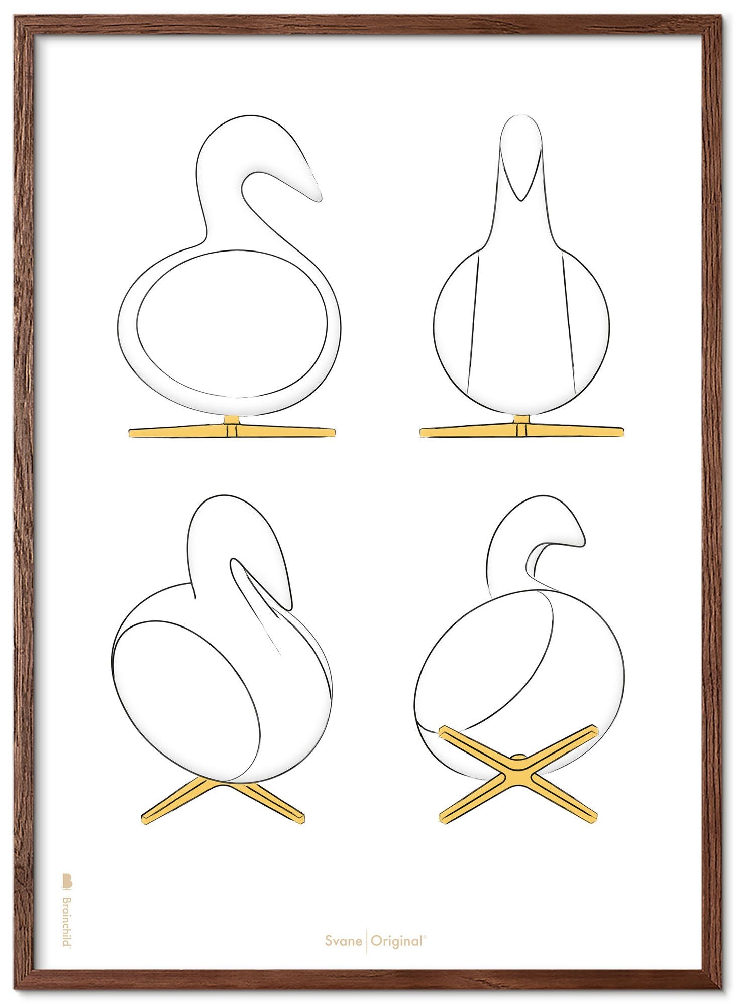 Brainchild Swan Design Sketches Poster Frame Made Of Dark Wood 30x40 Cm, White Background