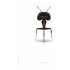 brainchild Affiche classique de fourmi sans cadre 30x40 cm, fond blanc