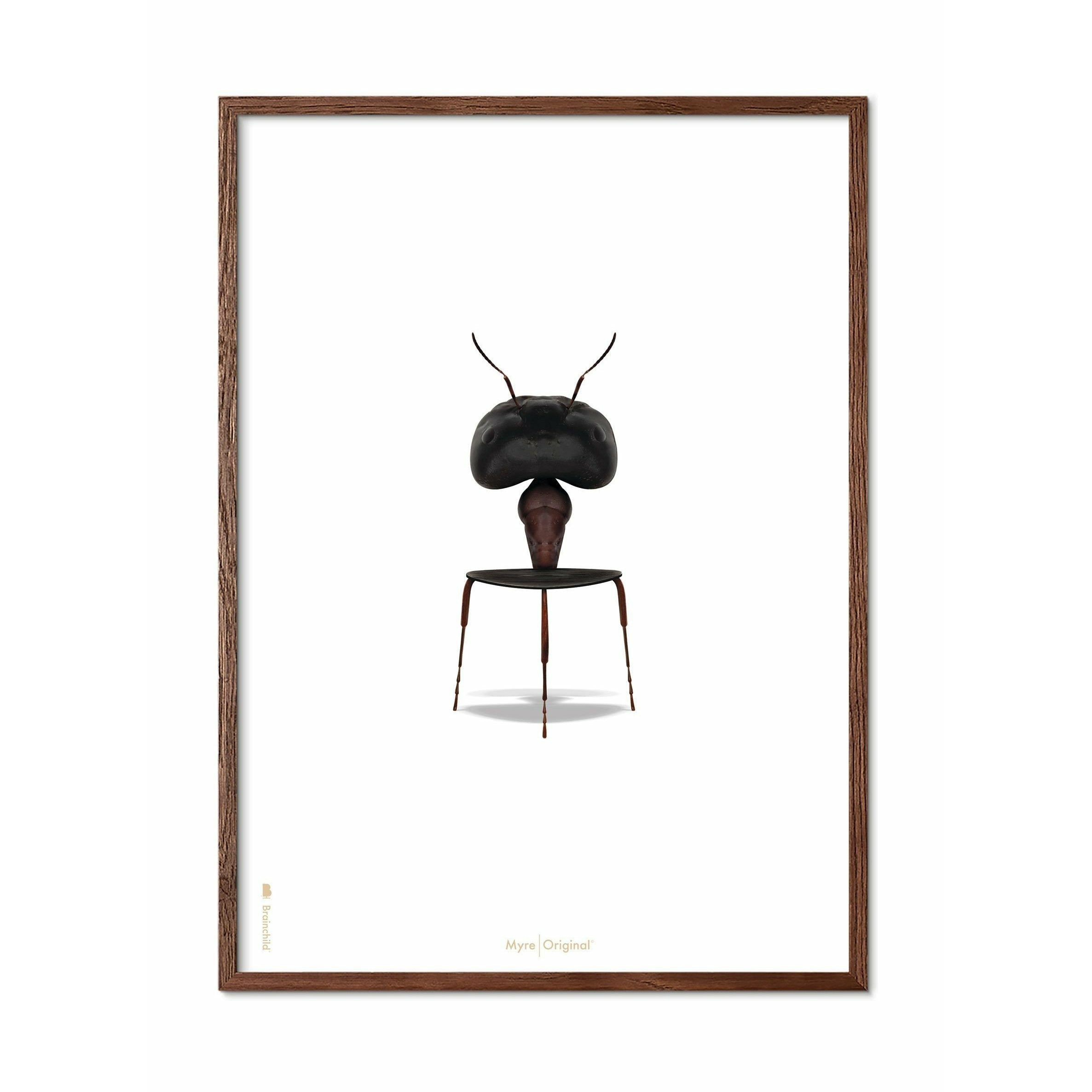 Póster clásico de hormigas de creación, marco hecho de madera oscura 50x70 cm, fondo blanco