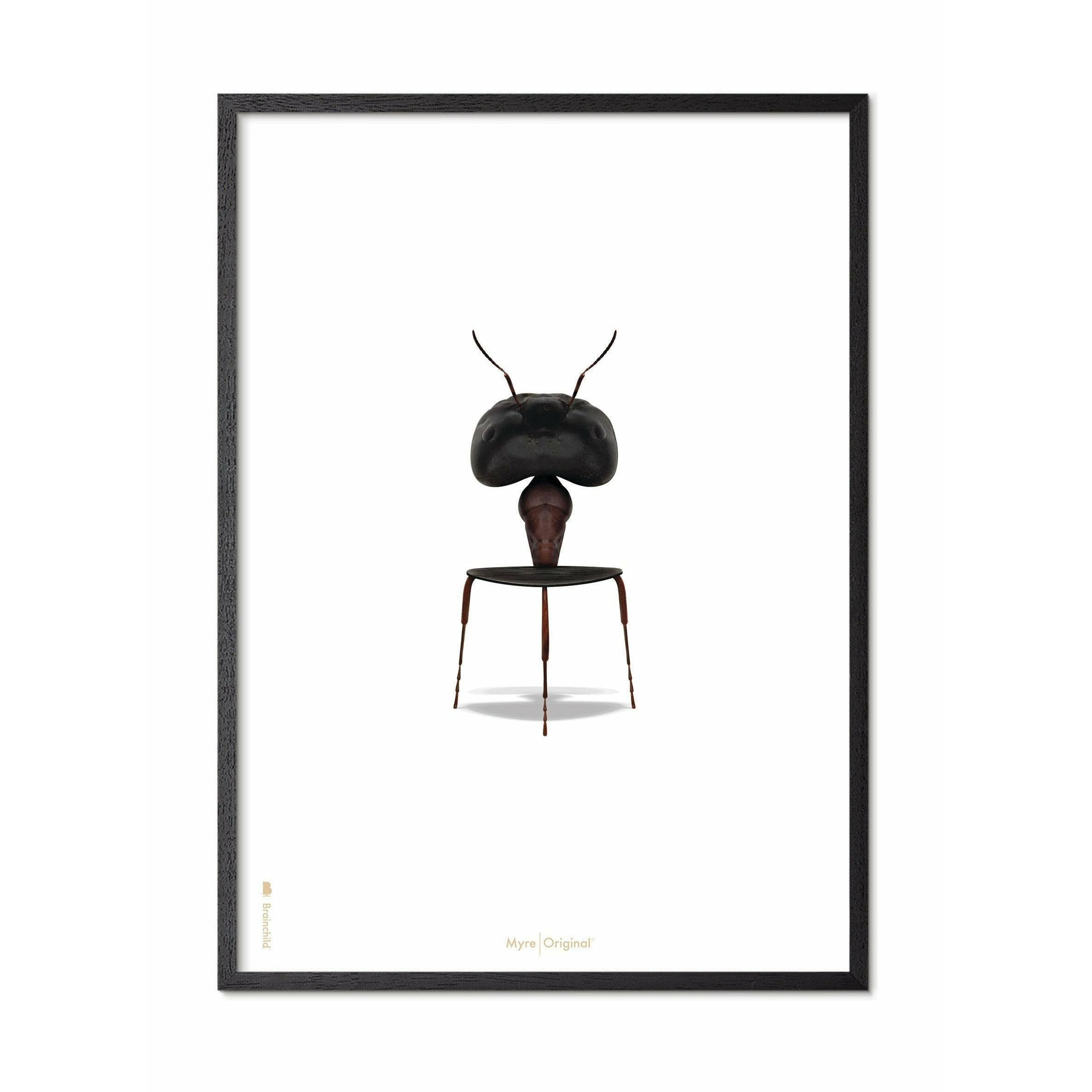 Póster clásico de hormigas de creación, marco en madera lacada negra A5, fondo blanco