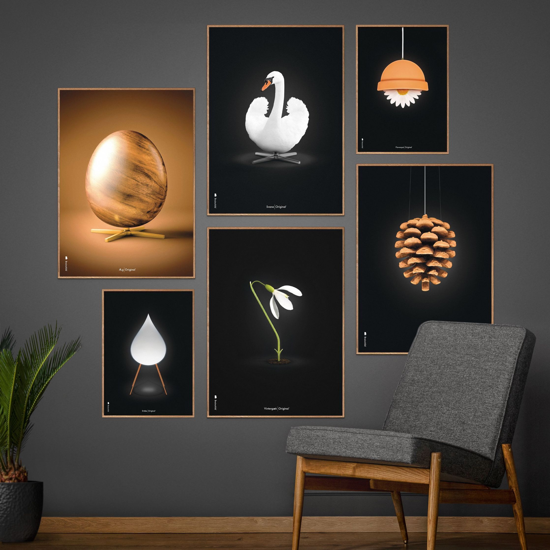 Brainchild Flowerpot Classic Poster, Light Wood Frame A5, Black Background