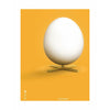  Egg Classic Poster Without Frame 30 X40 Cm Yellow Background