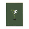 brainchild Snowdrop Classic Poster, koperen gekleurd frame 30x40 cm, groene achtergrond