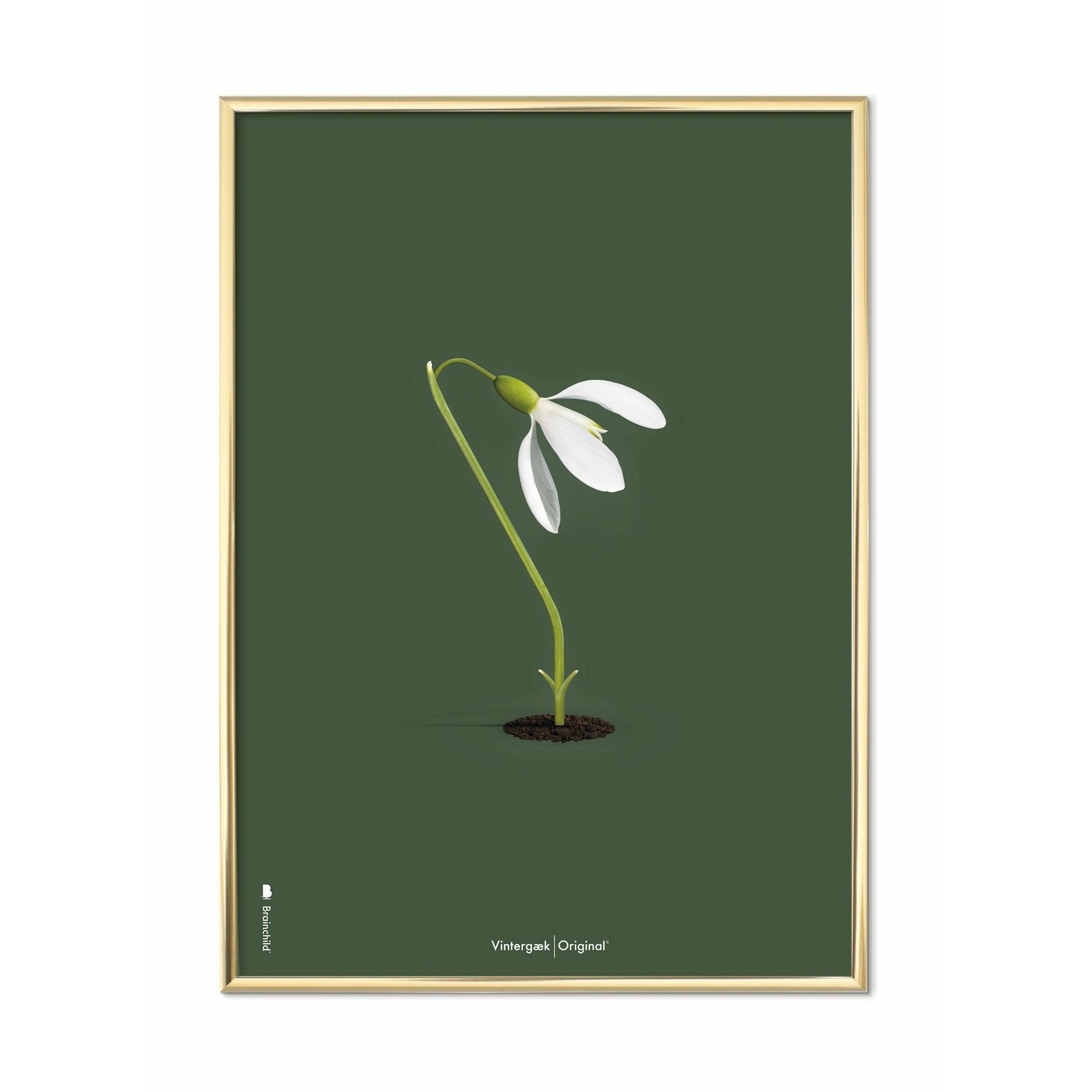 brainchild Snowdrop klassieke poster, messing gekleurd frame 50x70 cm, groene achtergrond