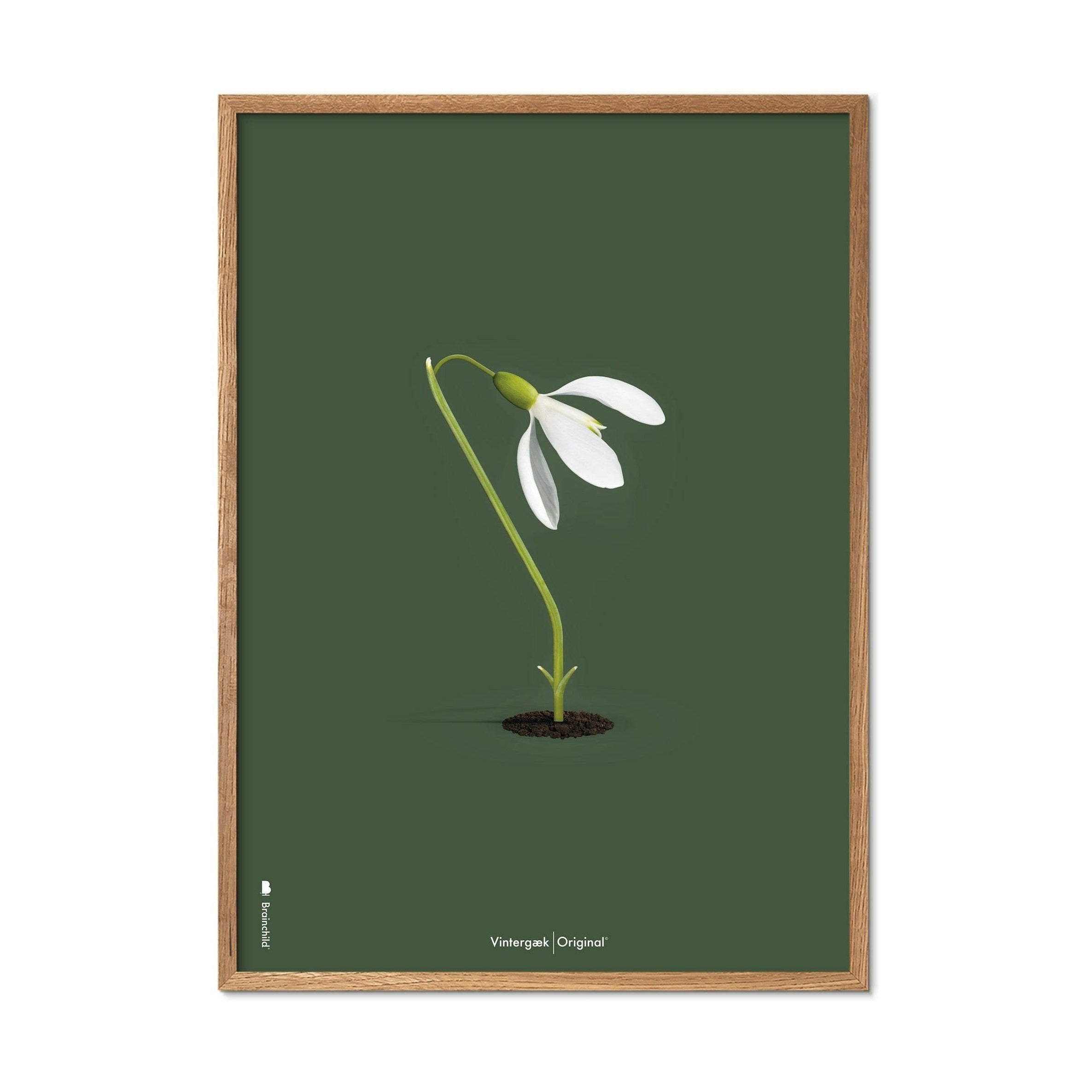 brainchild Snowdrop klassieke poster, frame gemaakt van licht hout 30x40 cm, groene achtergrond