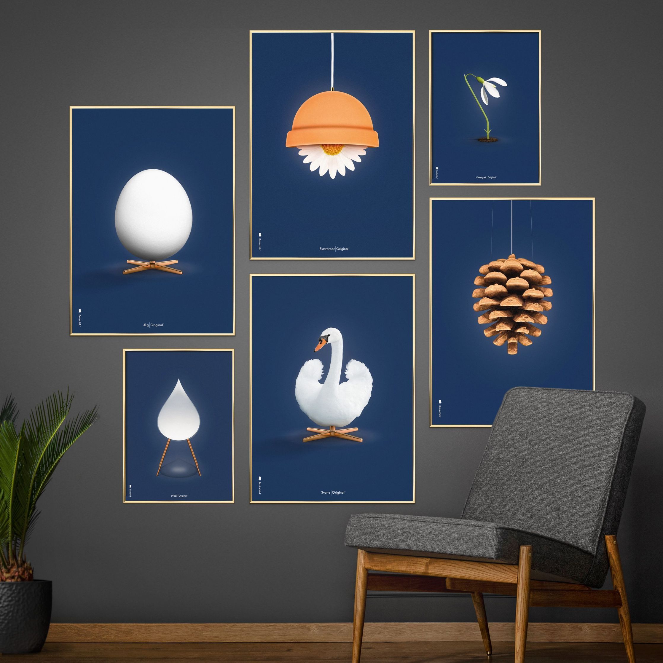 Brainchild Swan Classic Poster, Brass Frame 50x70 Cm, Dark Blue Background