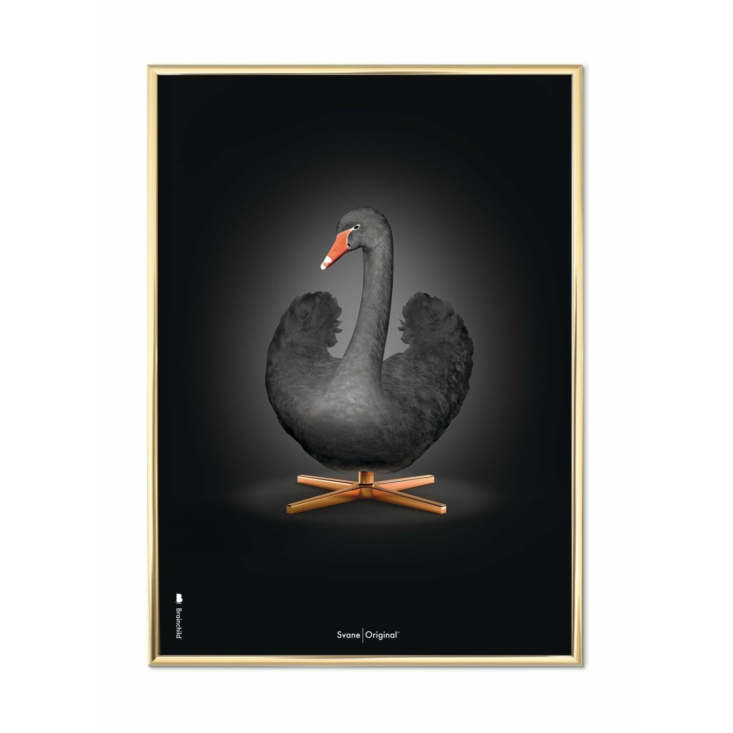 Póster clásico de Swan Swan, marco de latón 50 x70 cm, fondo negro/negro