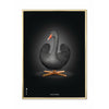 Brainchild Swan Classic Poster, Brass Frame 50 X70 Cm, Black/Black Background