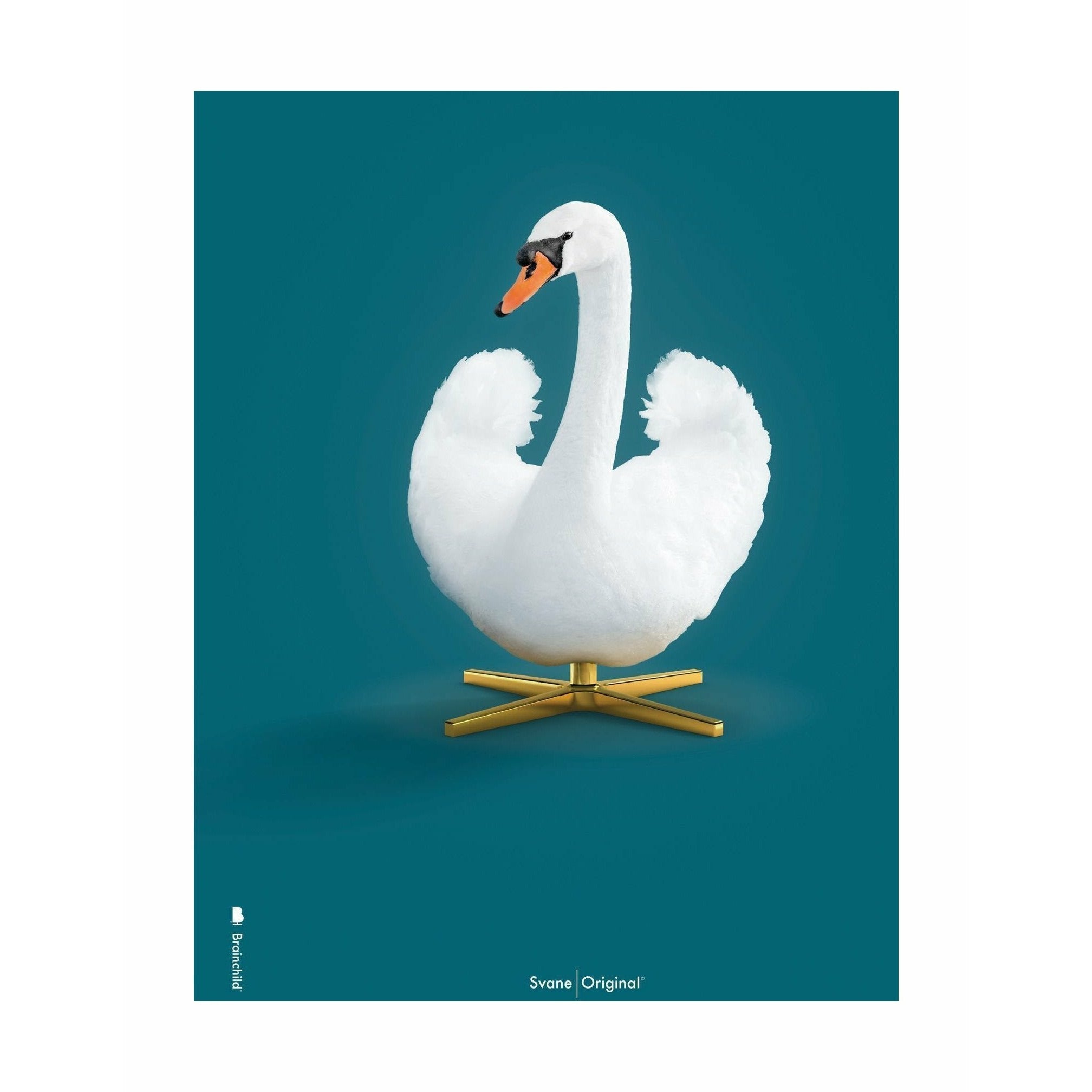 brainchild Swan Classic Poster zonder frame 50 x70 cm, petroleumblauwe achtergrond