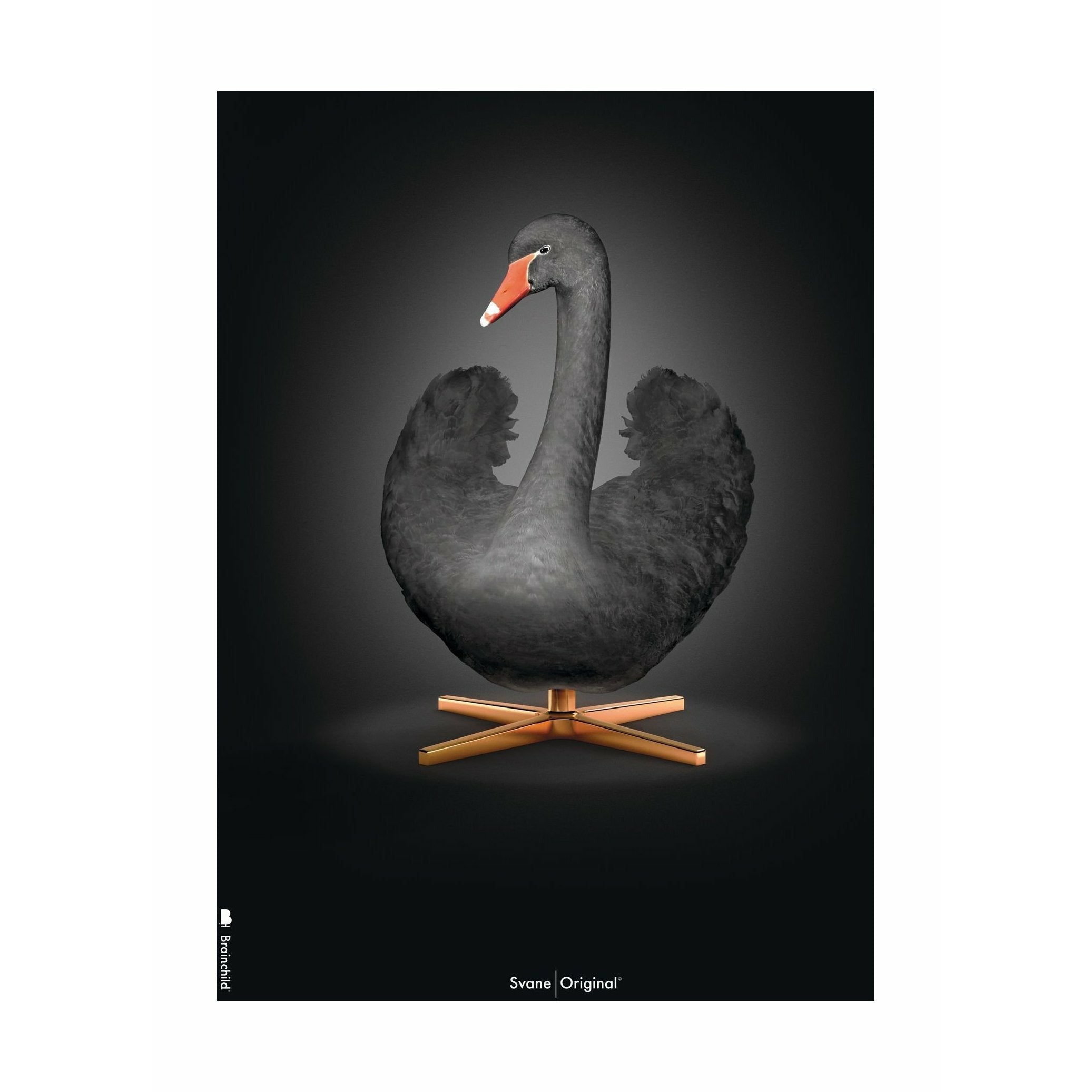 Póster clásico de Swan sin marco sin marco A5, fondo negro/negro