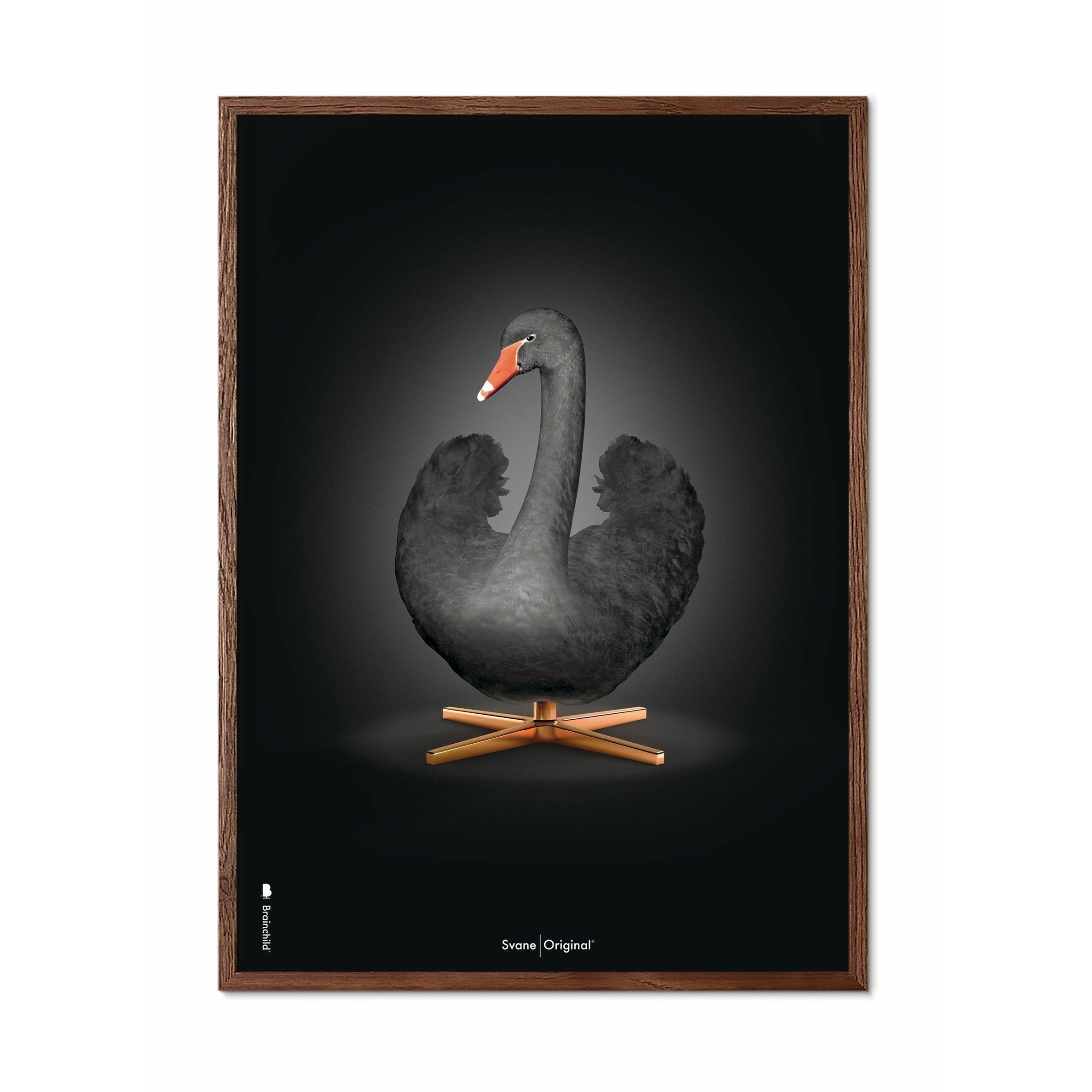 Brainchild Swan Classic Poster, ram gjord av mörkt trä 50x70 cm, svart/svart bakgrund