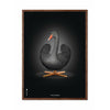 Brainchild Swan Classic Poster, Frame Made Of Dark Wood 50x70 Cm, Black/Black Background