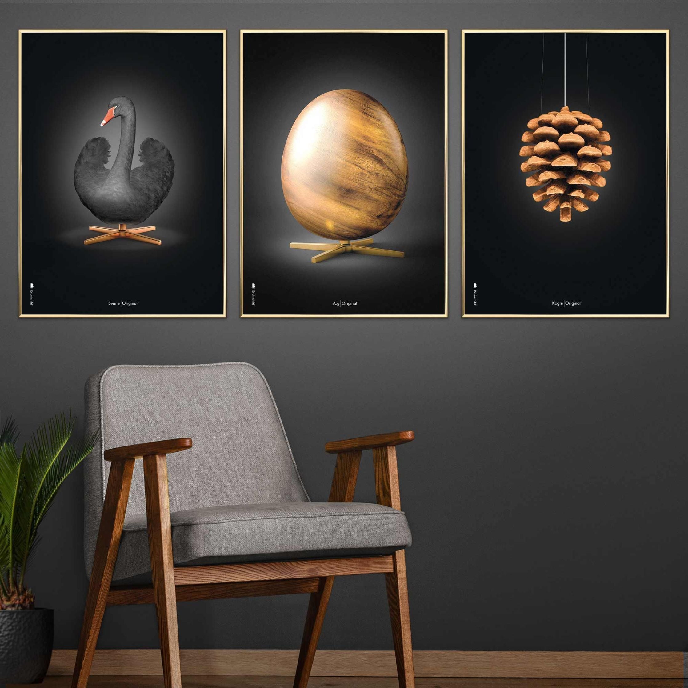 brainchild Swan Classic Poster, Dark Wood Frame A5, Schwarz/Schwarzer Hintergrund